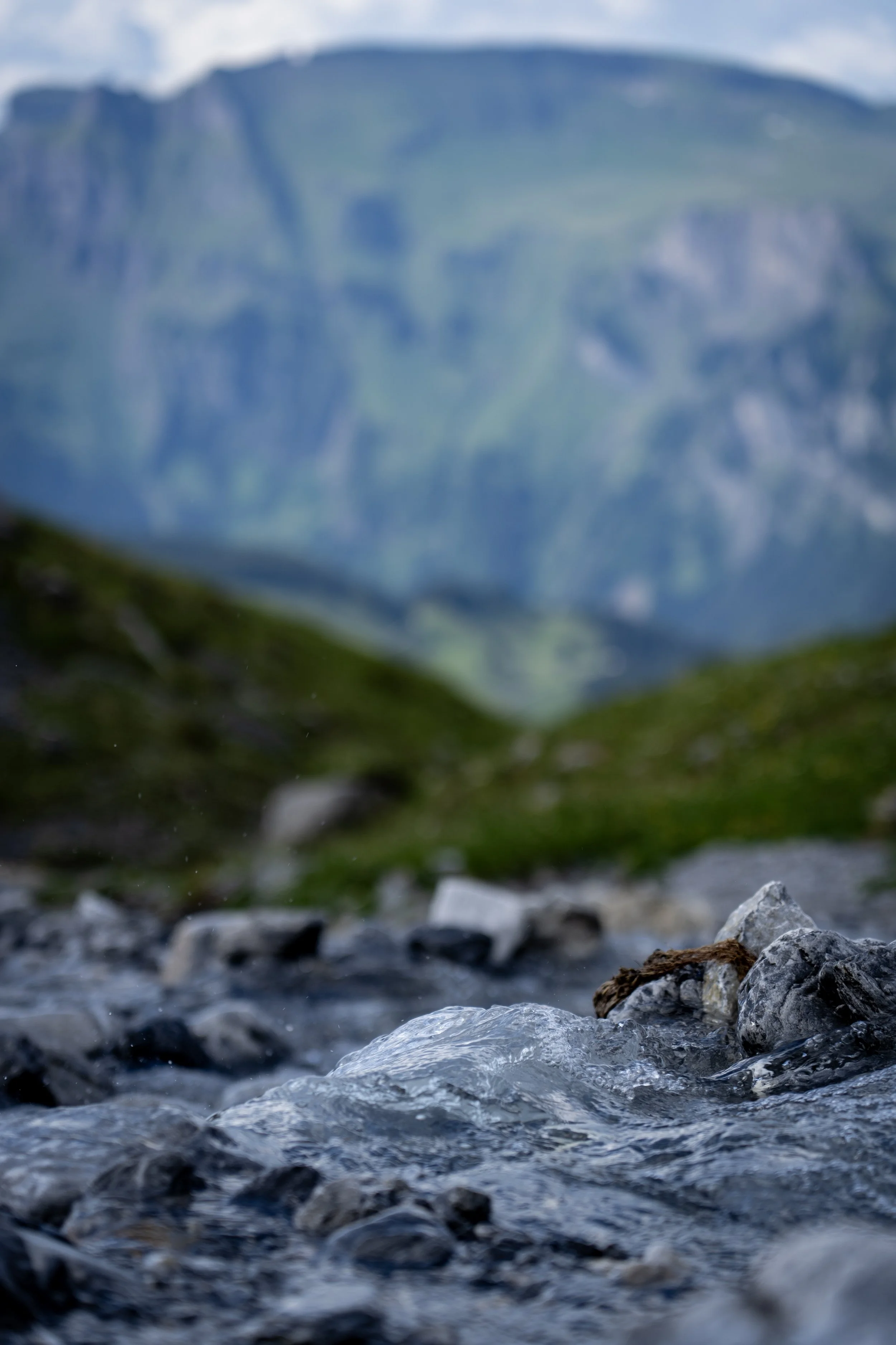 71 - Mt. Eiger.jpg