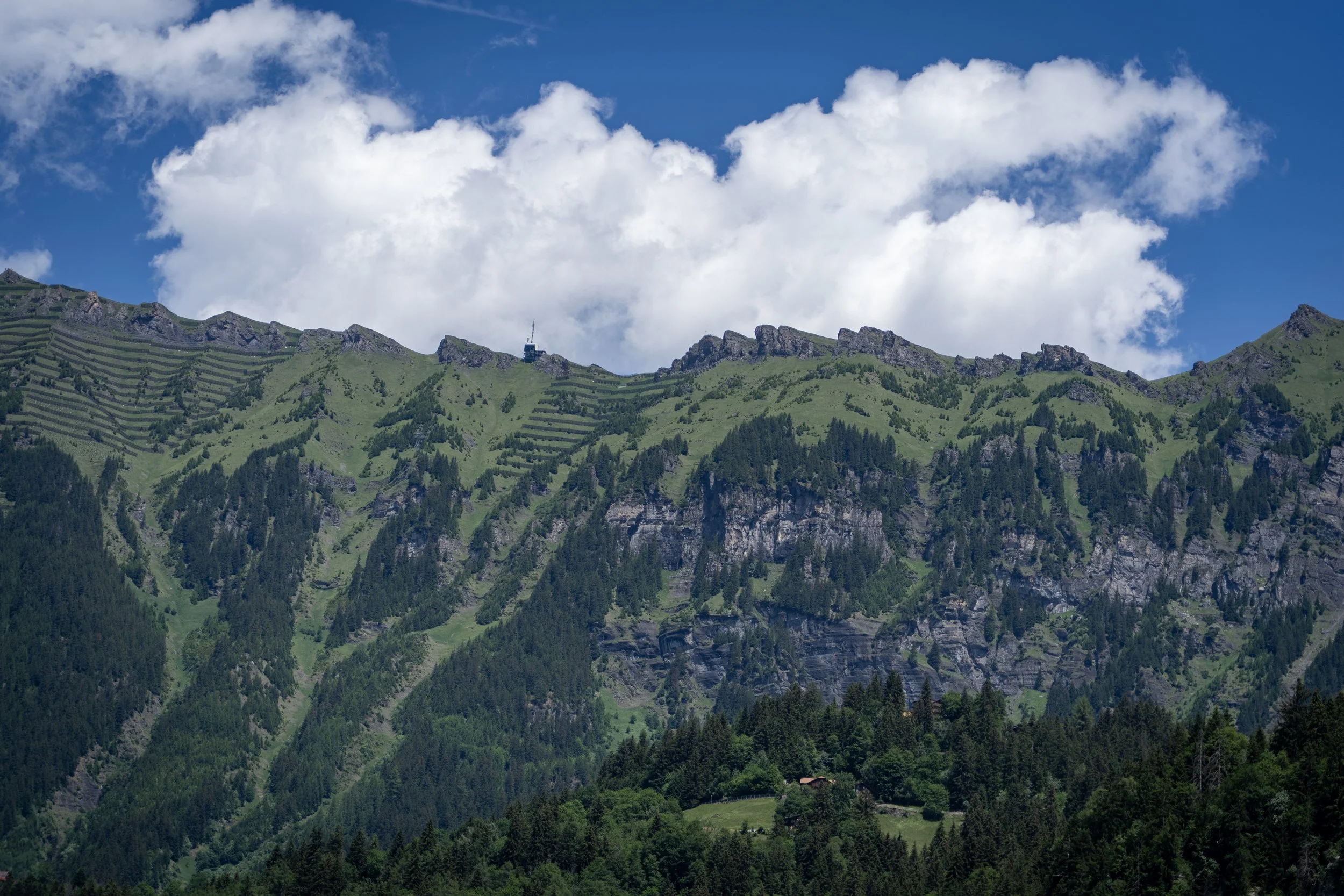 31 - Mt. Eiger.jpg