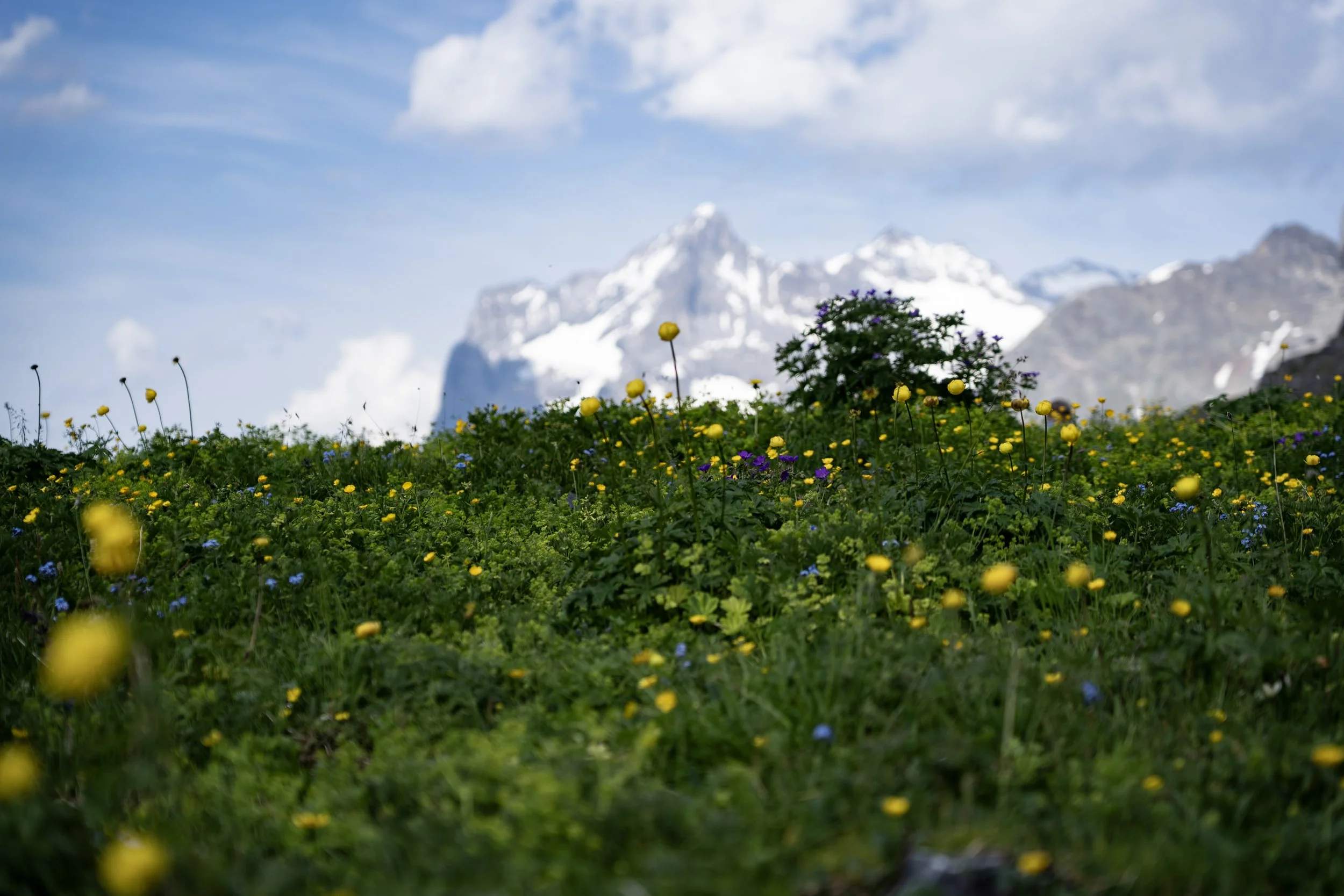 74 - Mt. Eiger.jpg