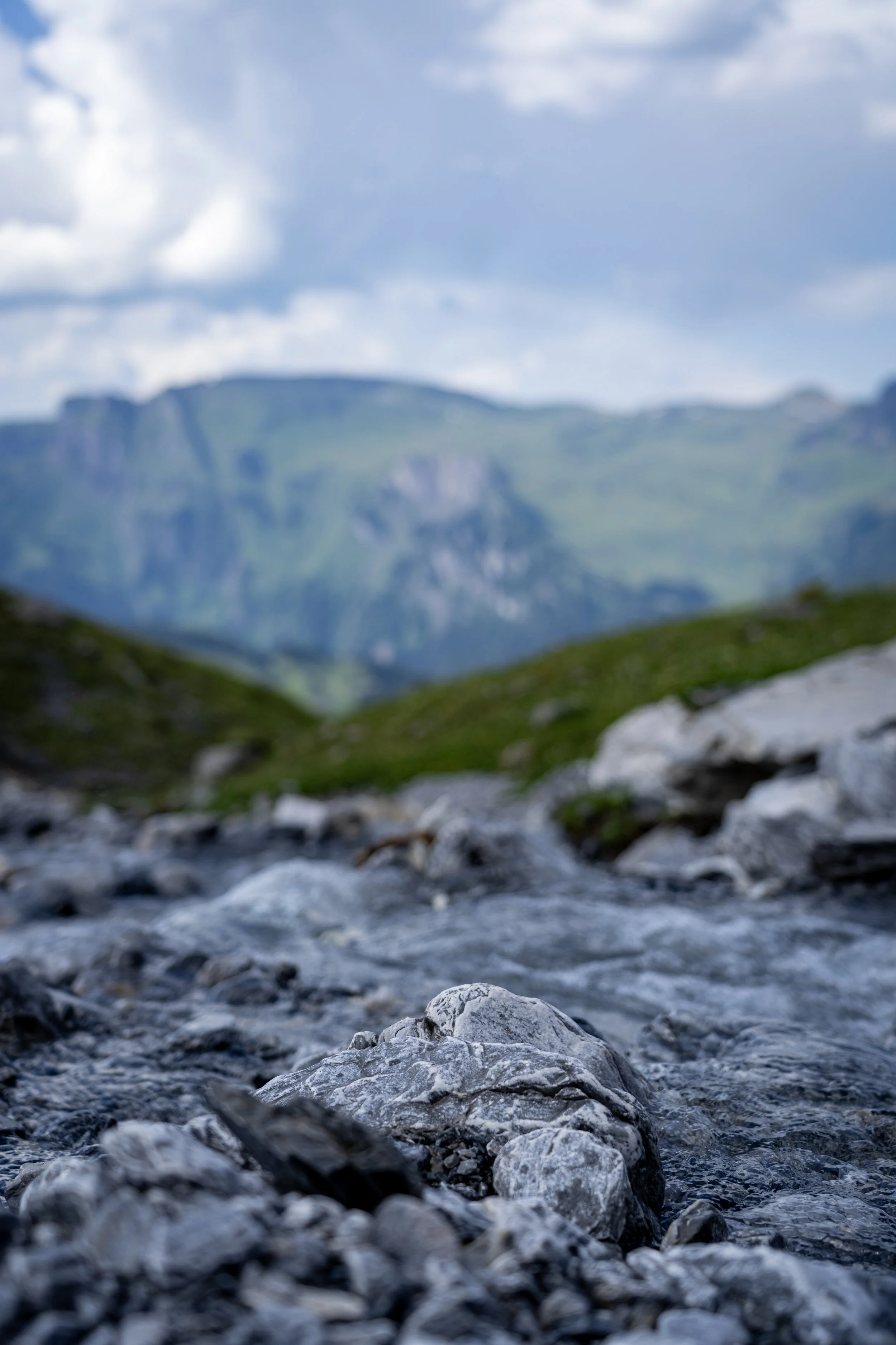 72 - Mt. Eiger.jpg