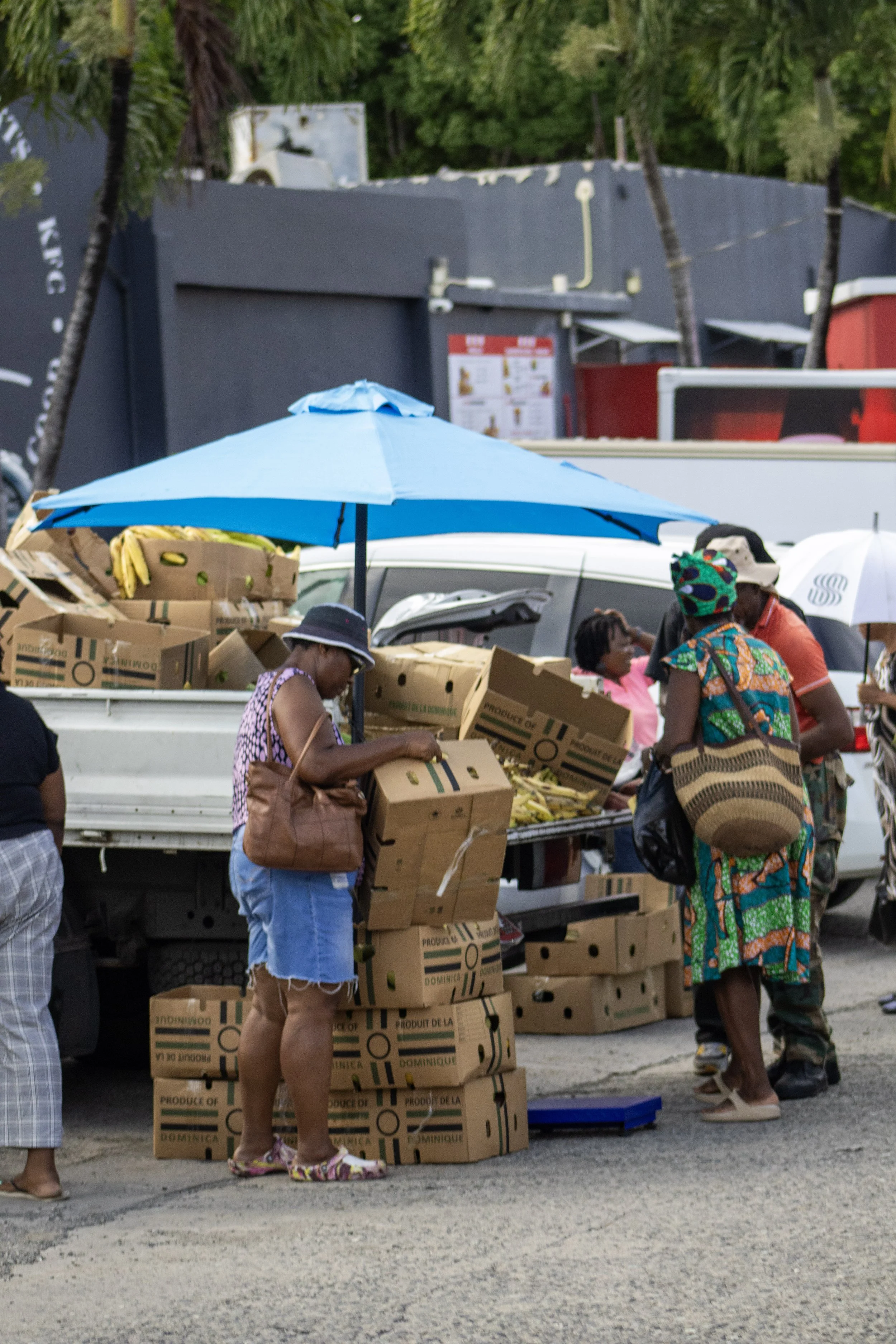 People shopping at an outdoor market with boxes of produce, a blue umbrella for shade, and several customers examining items.