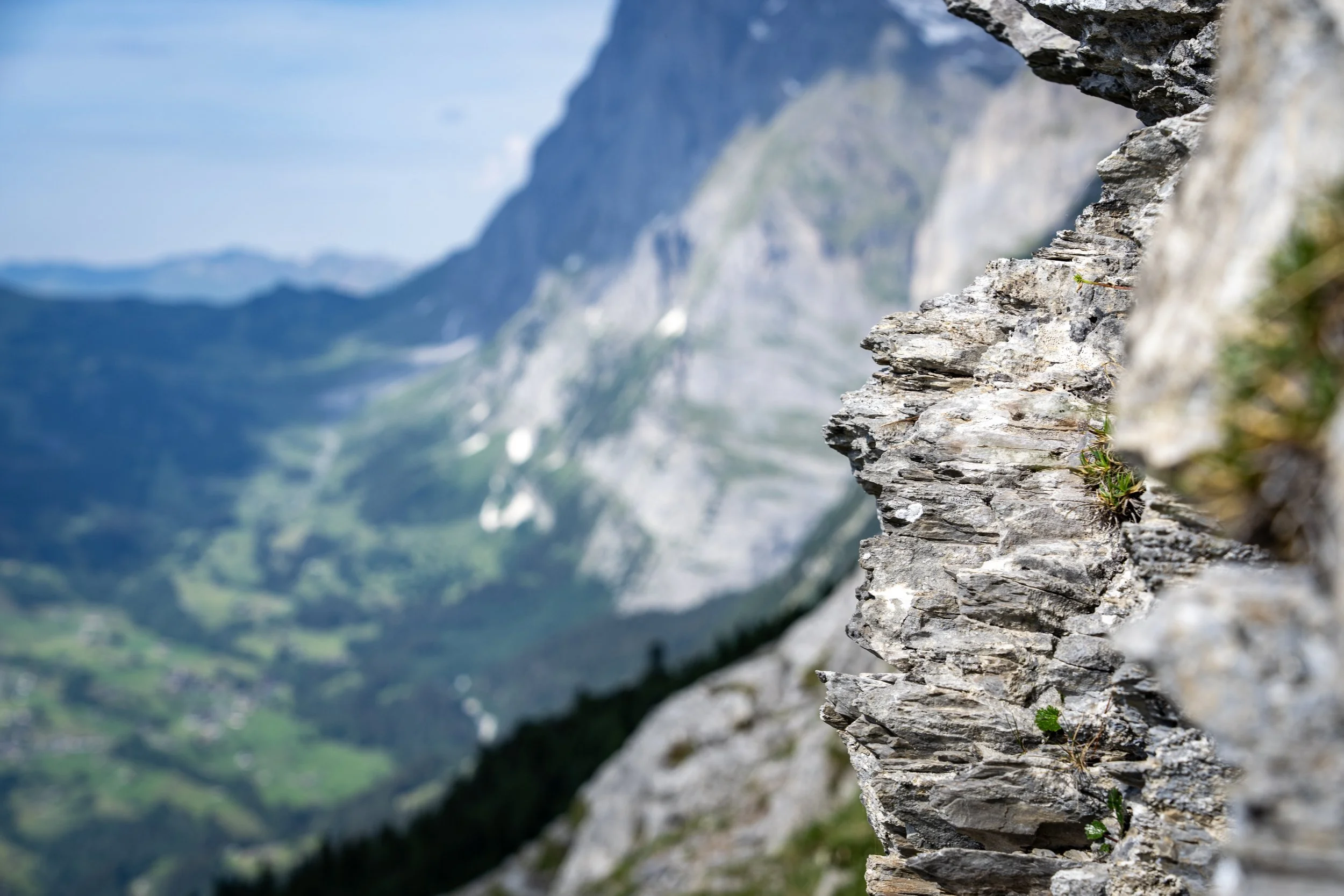 83 - Mt. Eiger.jpg