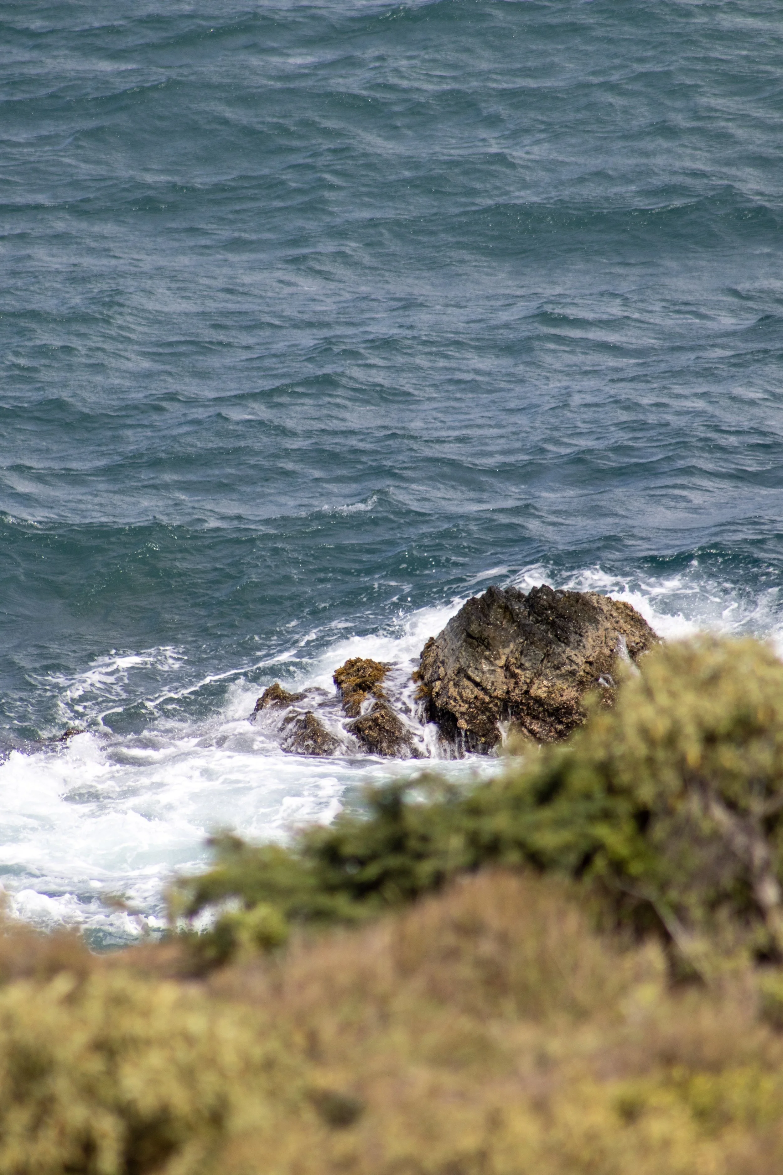 Photo of ocean waves hitting rocks near the shoreline with some vegetation in the foreground.
