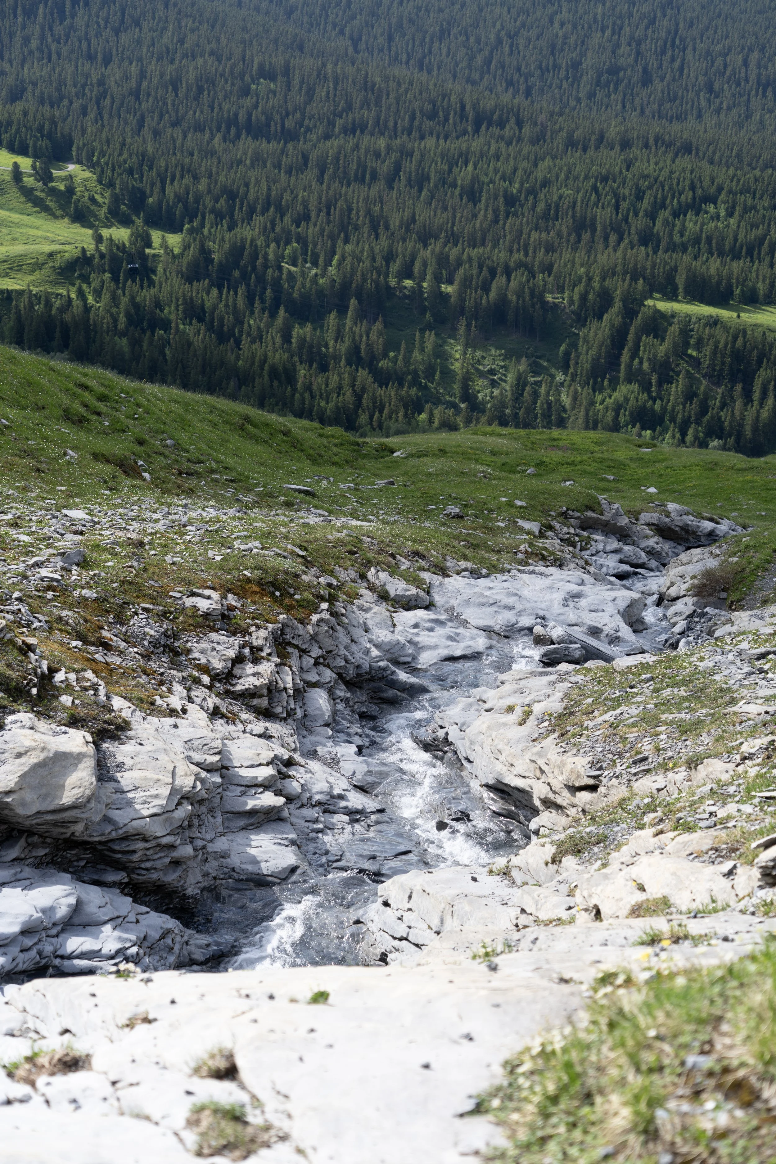 78 - Mt. Eiger.jpg