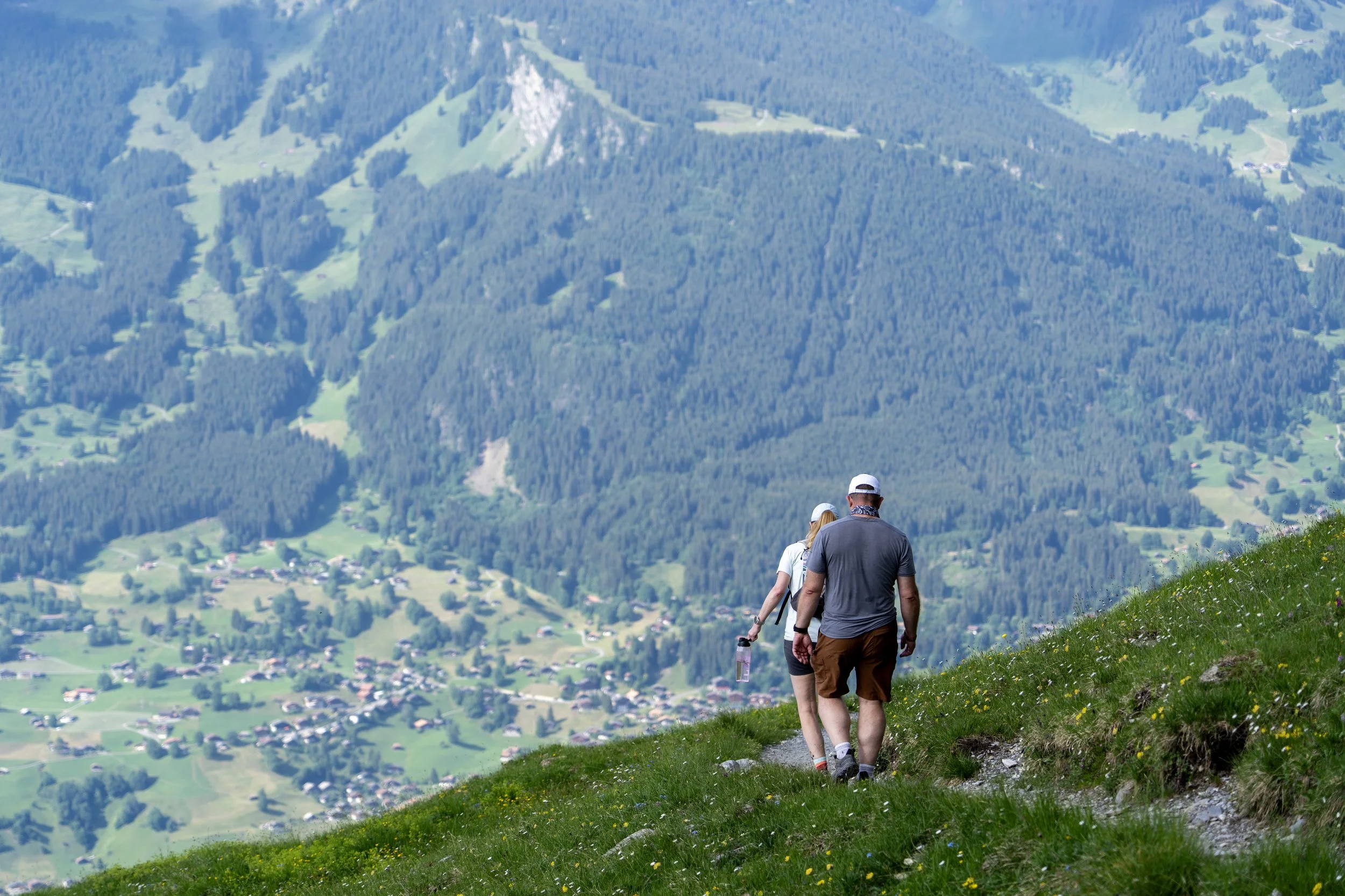 77 - Mt. Eiger.jpg