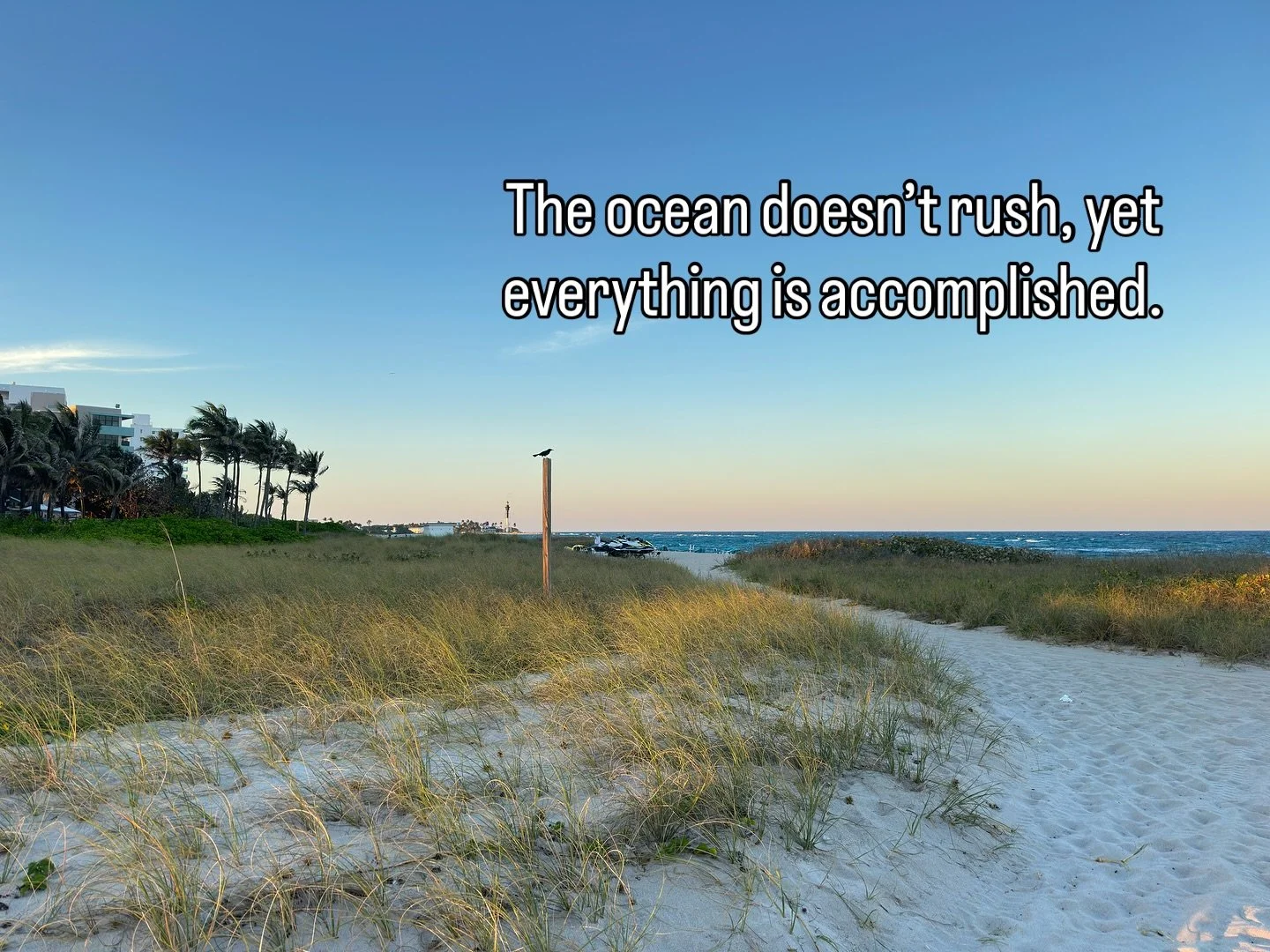 &ldquo;The ocean doesn&rsquo;t rush, yet everything is accomplished.&rdquo;

I&rsquo;d love to know what this quote means to you!