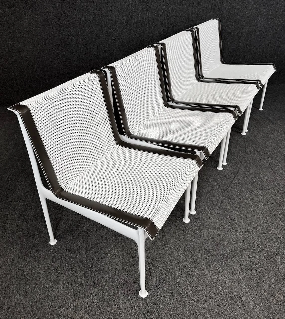 IMG_2313-1.jpeg (1).jpeg