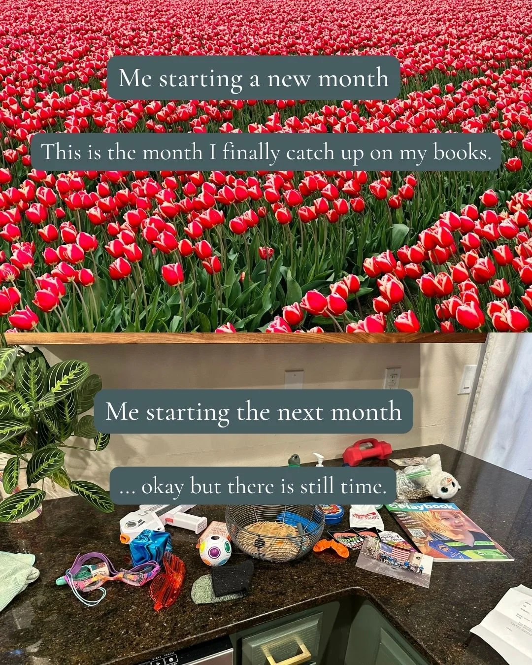No judgment. This is just every month for a lot of us.

The intention is real. The follow-through is hard when bookkeeping feels like the least urgent thing on a very long list... until suddenly it's the most urgent thing on a very long list.

Here's