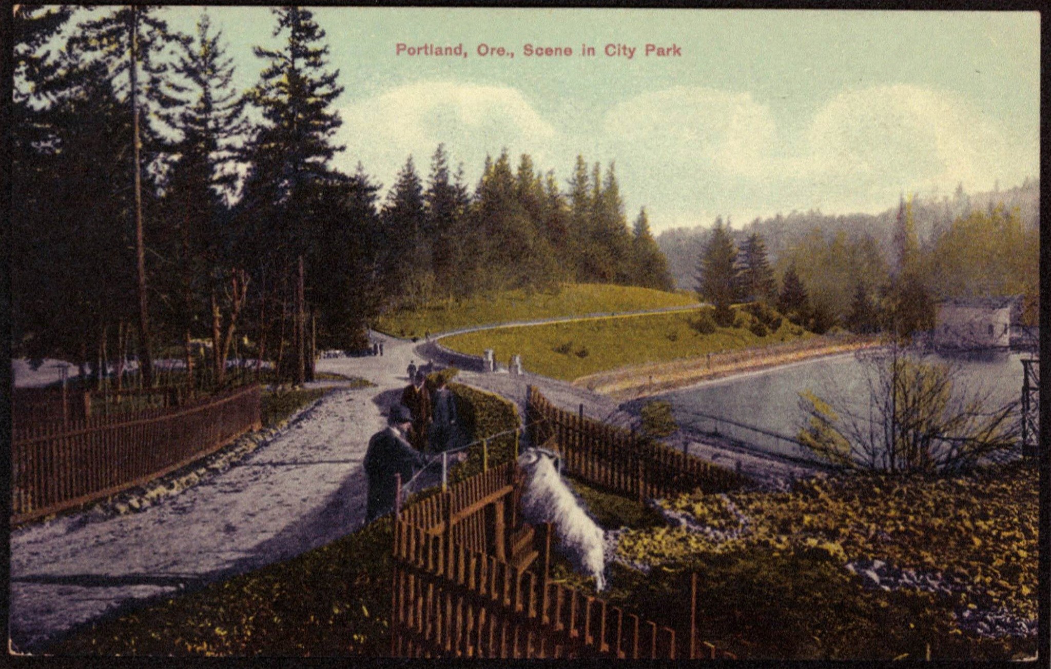 Washington Park Reservoir Postcard (1900s) - Early 1900s colorized postcard of Washington Park showing the reservoir, winding gravel paths, and visitors walking near a wooden fence with a goat
