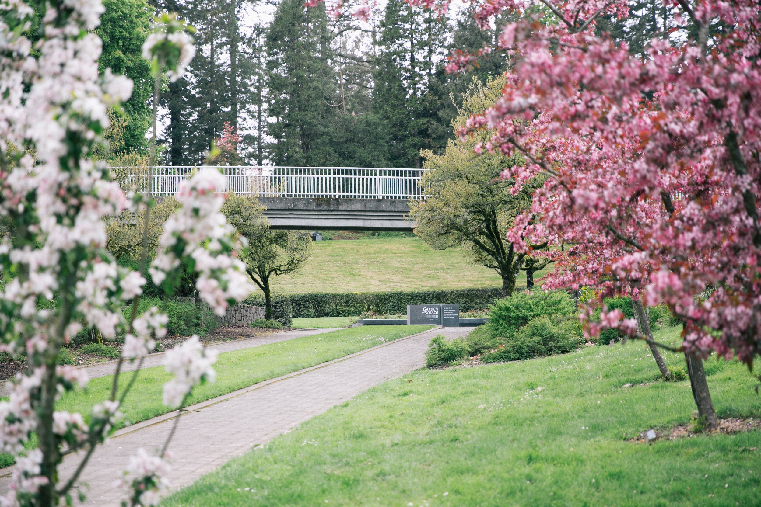 Spring flowers near the Vietnam Veterans of Oregon Memorial bridge, next to the memorial’s history.
