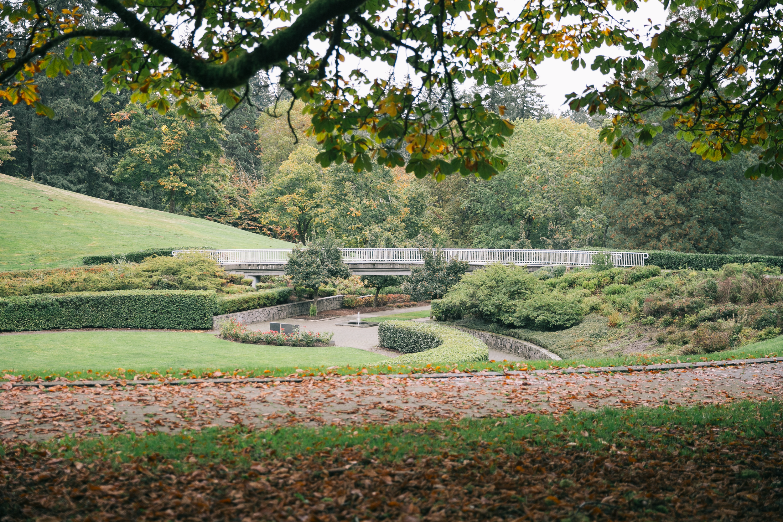 The Vietnam Veterans Memorial bridge in fall, next to parking and accessibility information.