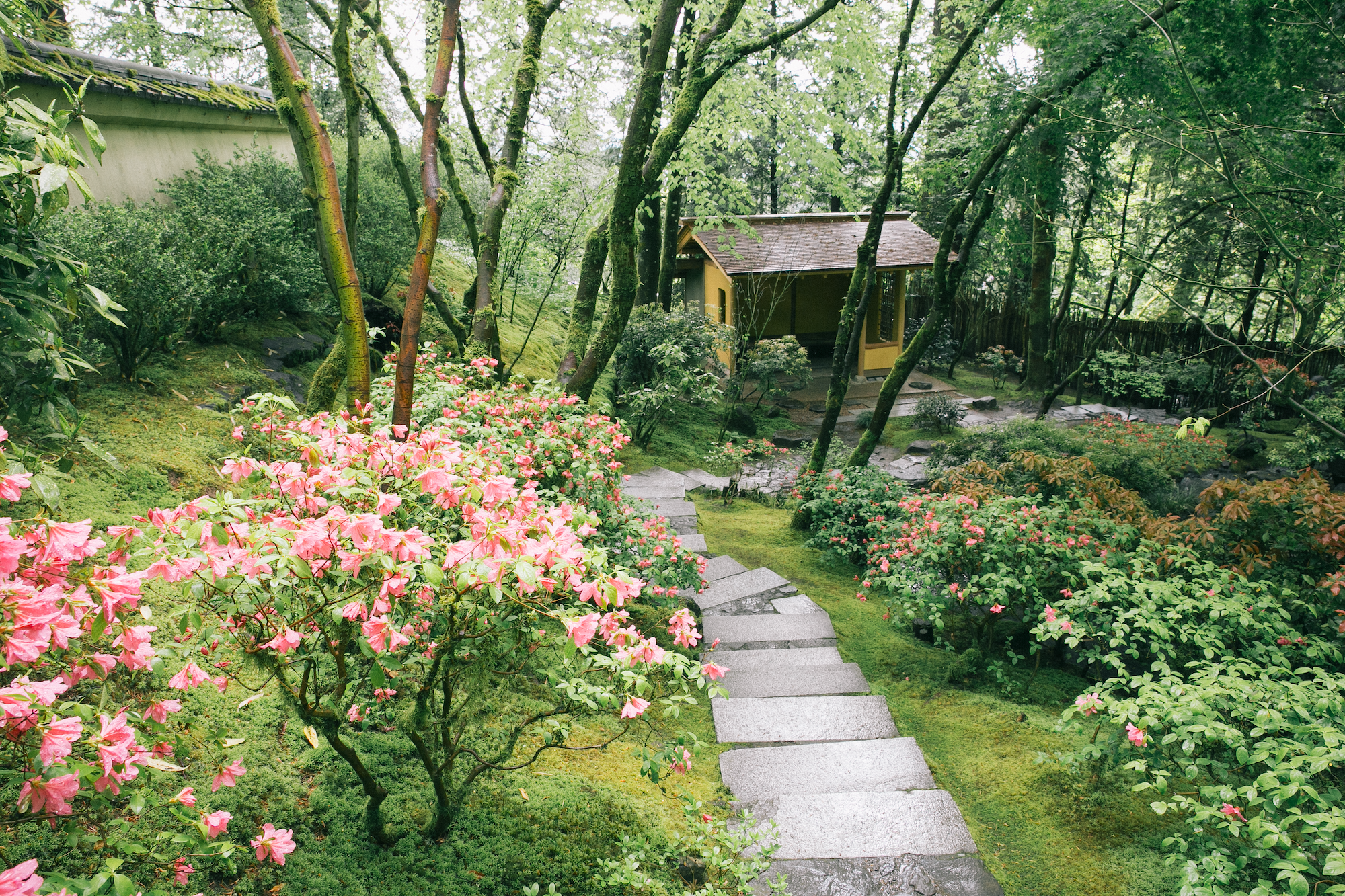 Washington Park Makes Portland the Ideal Spring Break Vacation