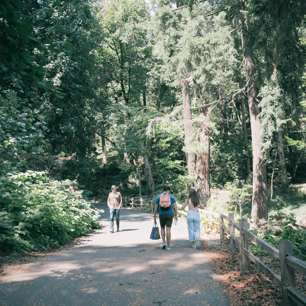  Visitors stroll along the paved Stearns Canyon path beneath tall trees. 
