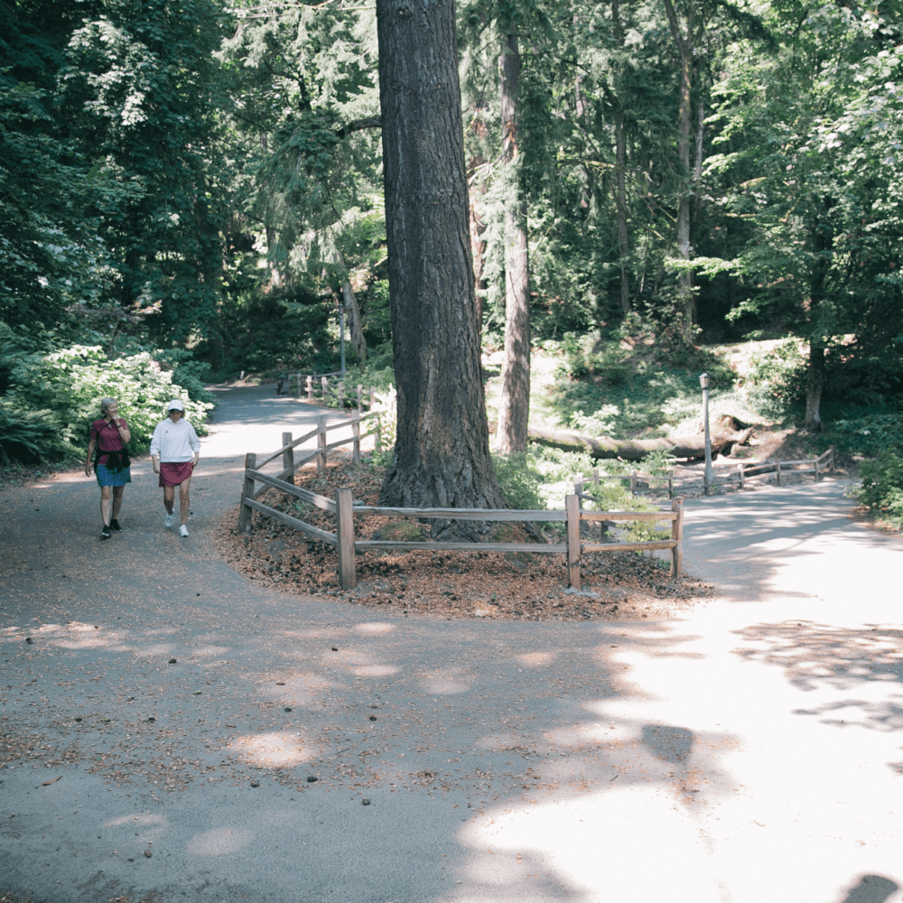  A couple strolls together along a paved, tree-lined path in Washington Park. 