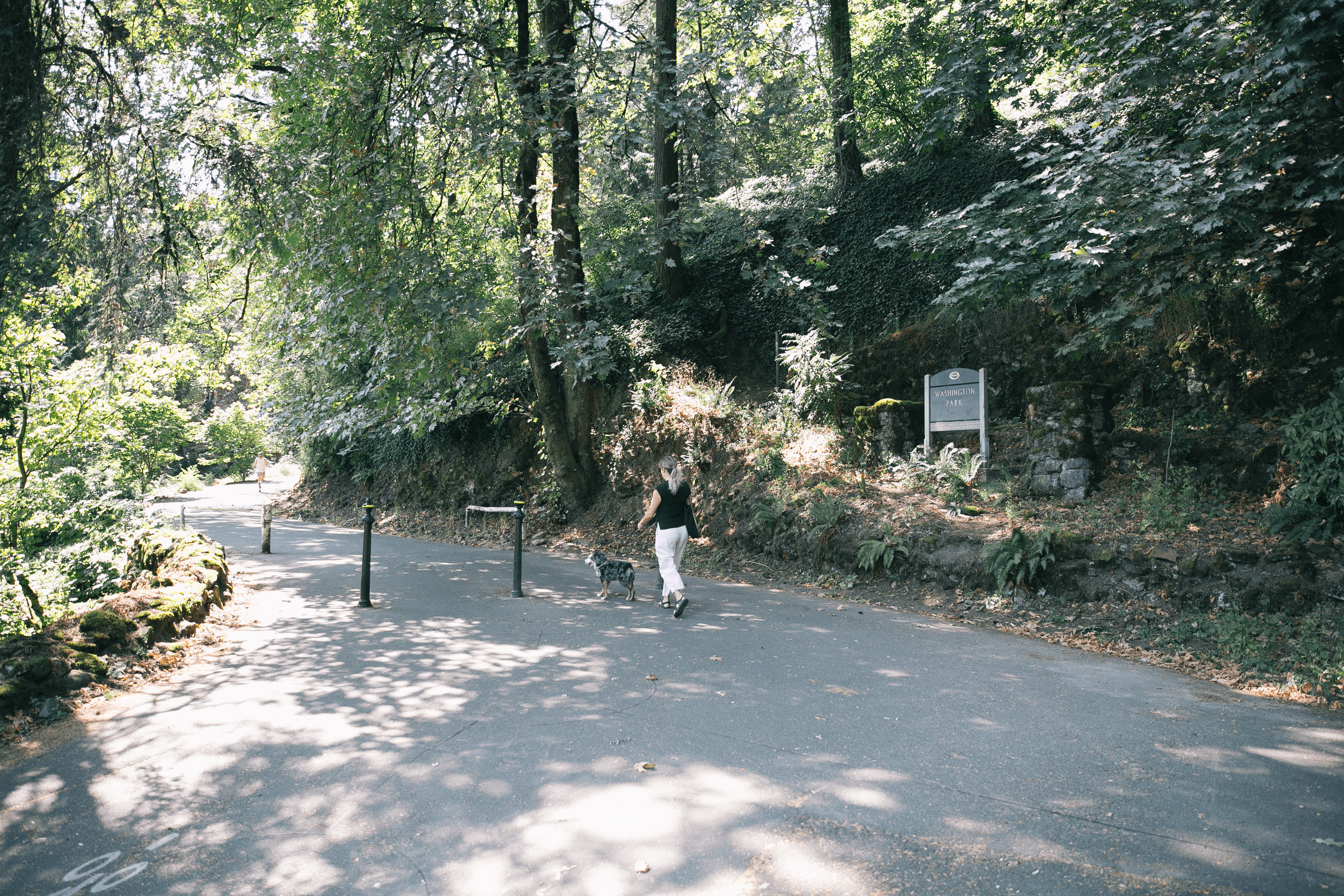  A visitor walks their dog along the wooded path at Washington Park’s Burnside Street entrance. 