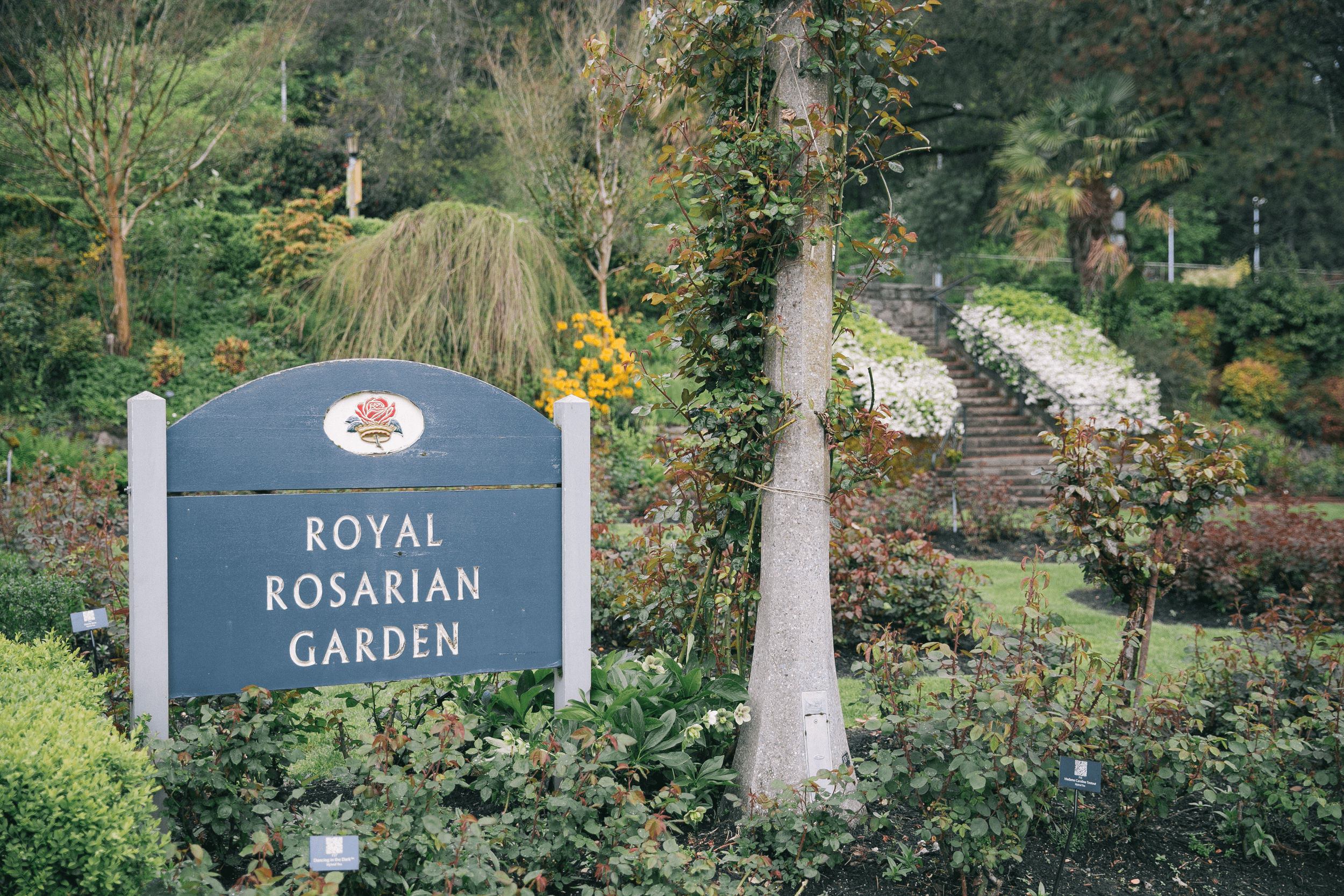  A sign marking the Royal Rosarian Garden in the International Rose Test Garden. 