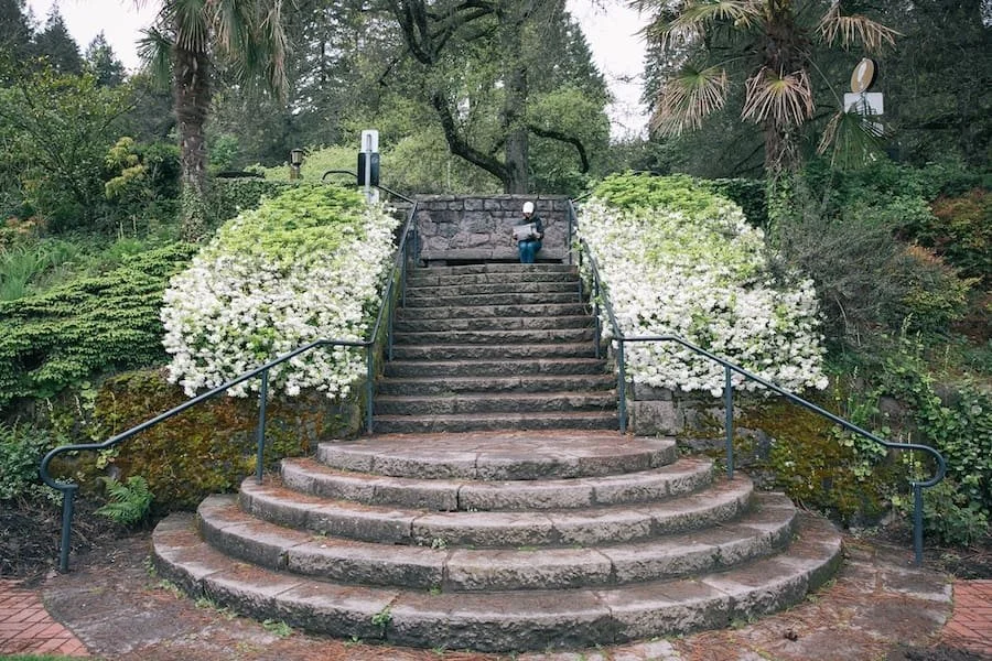  Stone steps leading down into the blooming International Rose Test Garden in spring. 