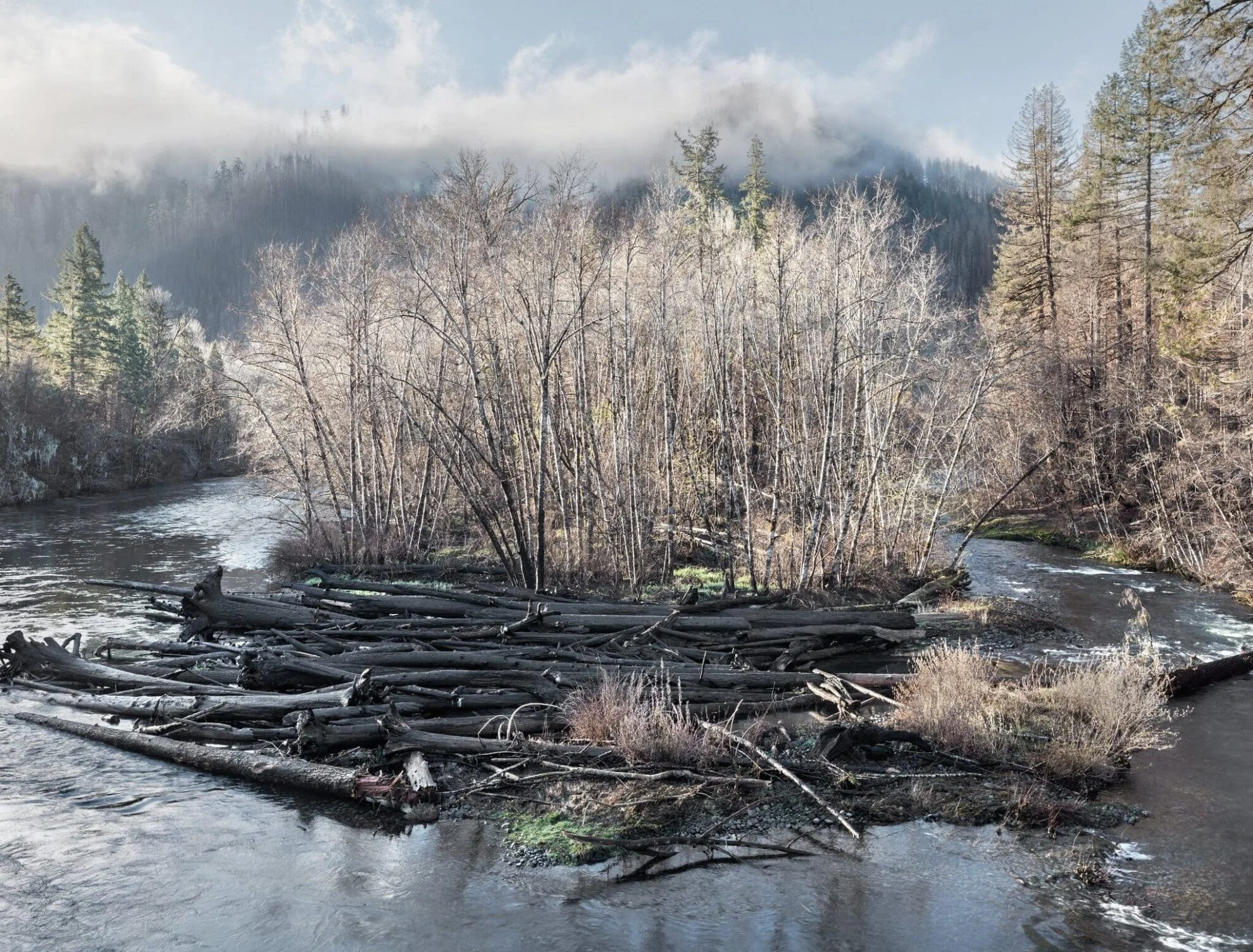  A “Following Fire” exhibit photo of the same river and charred log jam in winter, with bare trees and fog over the hills. 