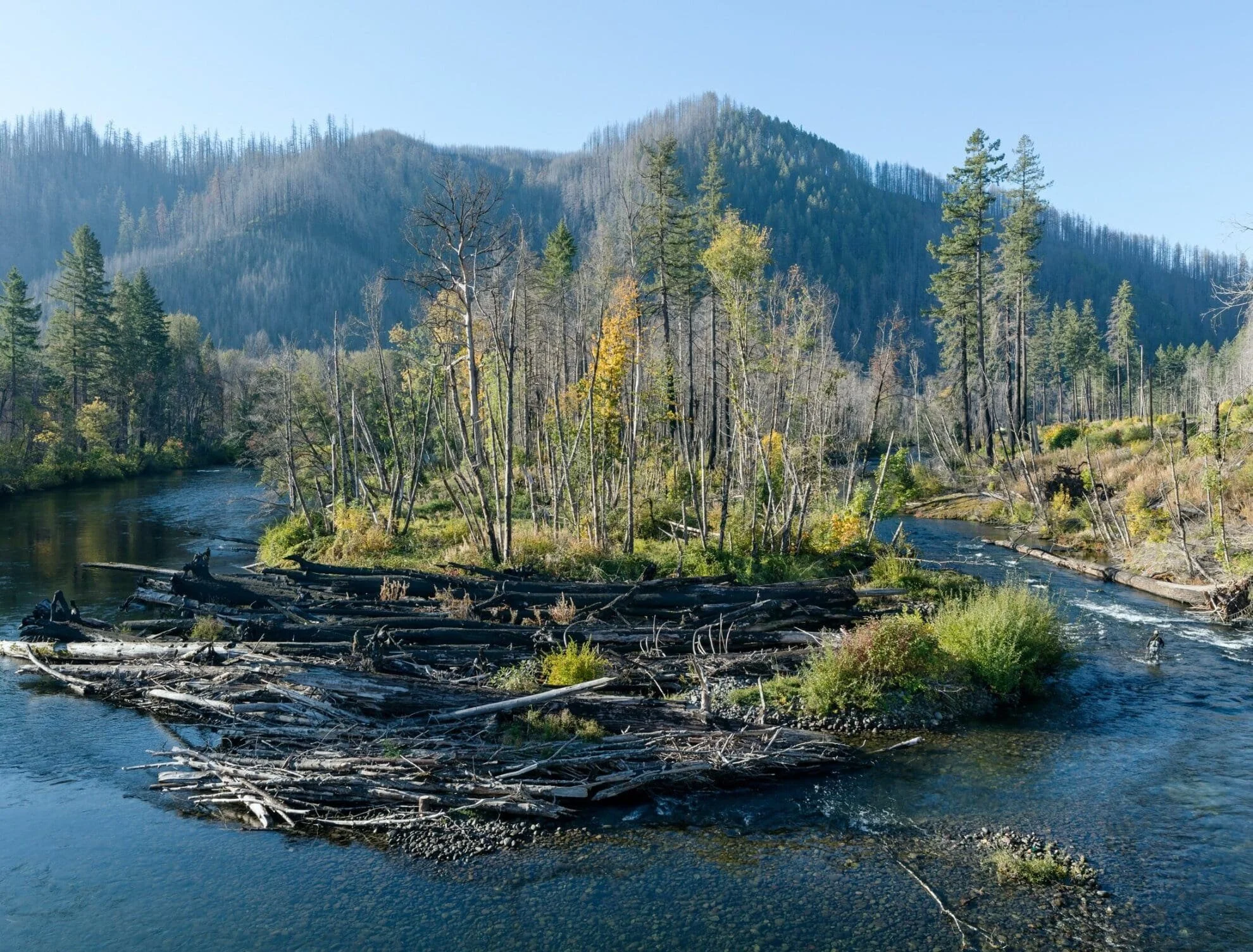  A “Following Fire” exhibit photo of a fire-affected river canyon in autumn, with fall foliage and burned hillsides under a clear sky. 