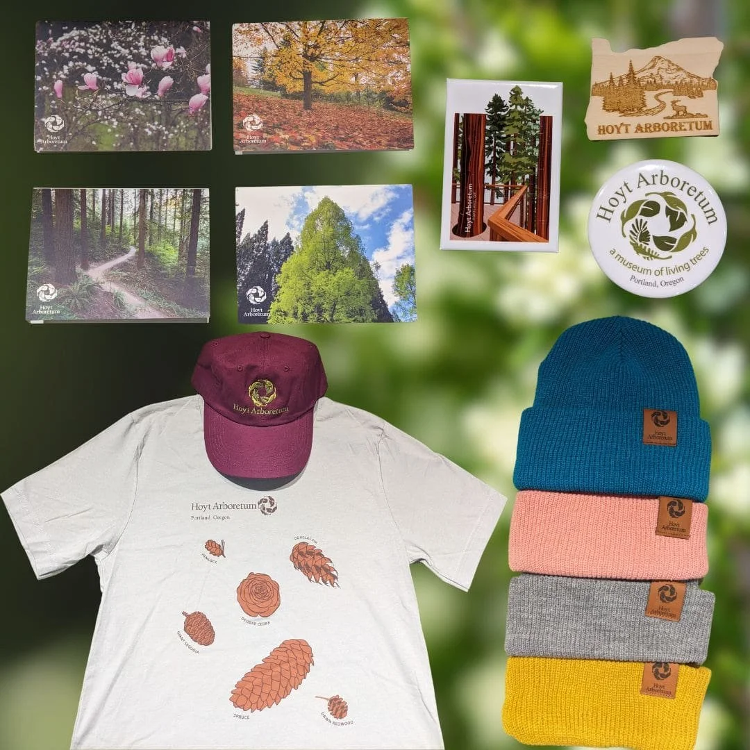  A colorful display of nature-themed gifts, art, and apparel at the Hoyt Arboretum gift shop. 