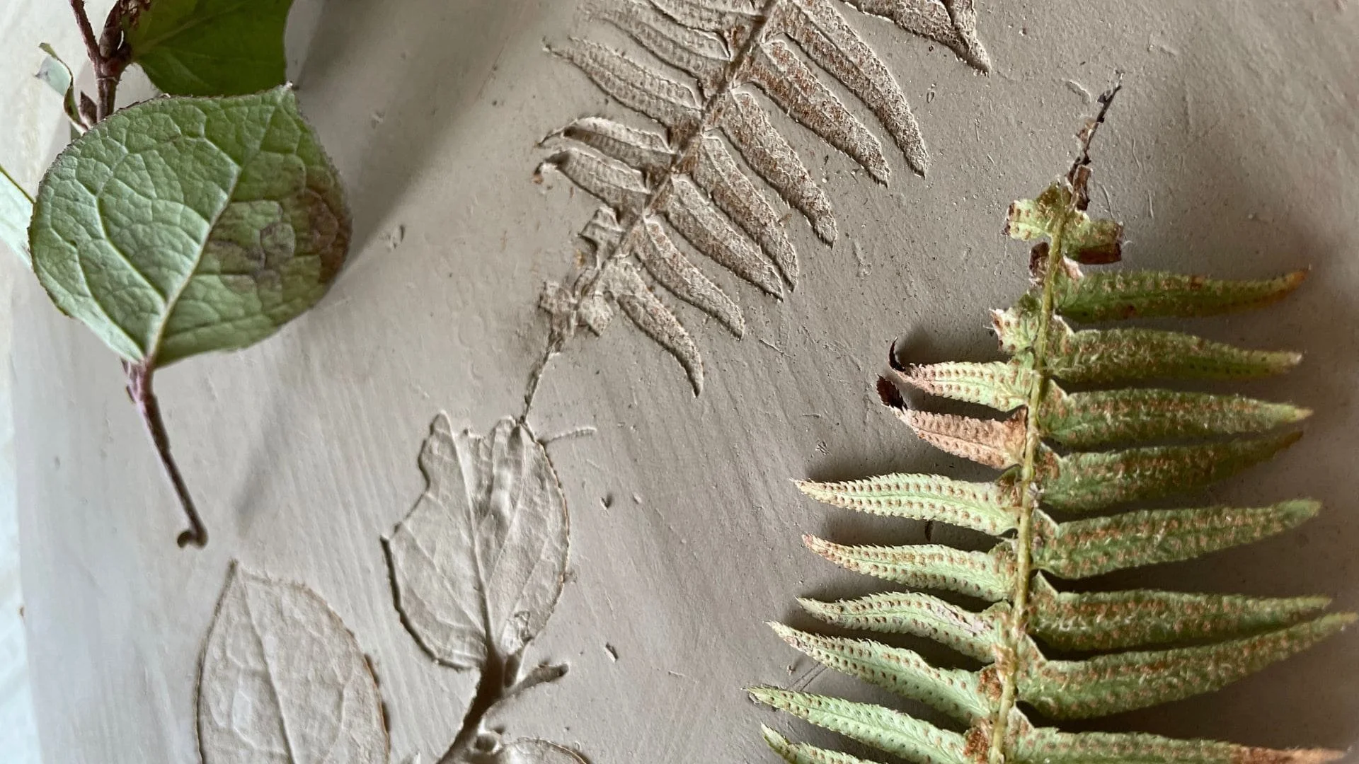  White clay ornaments imprinted with leaf and plant textures at a winter crafting workshop. 