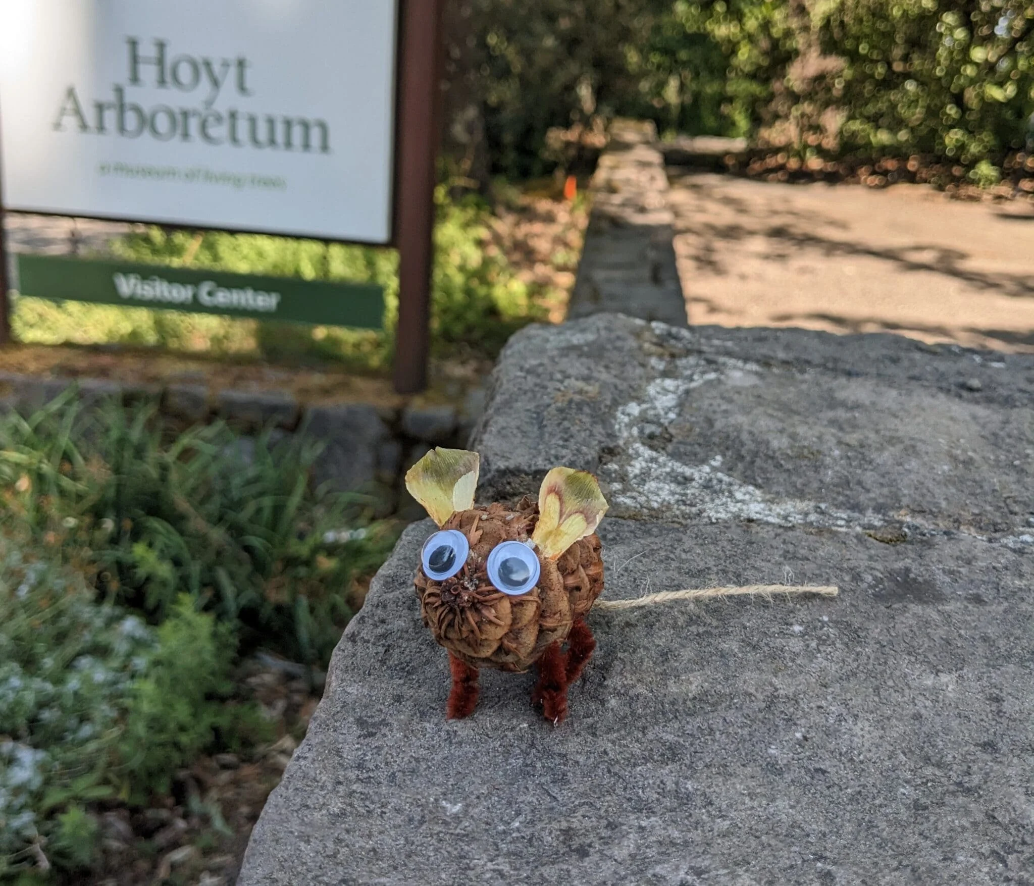 A little mouse ornament crafted from a pine cone and natural materials at Hoyt Arboretum. 
