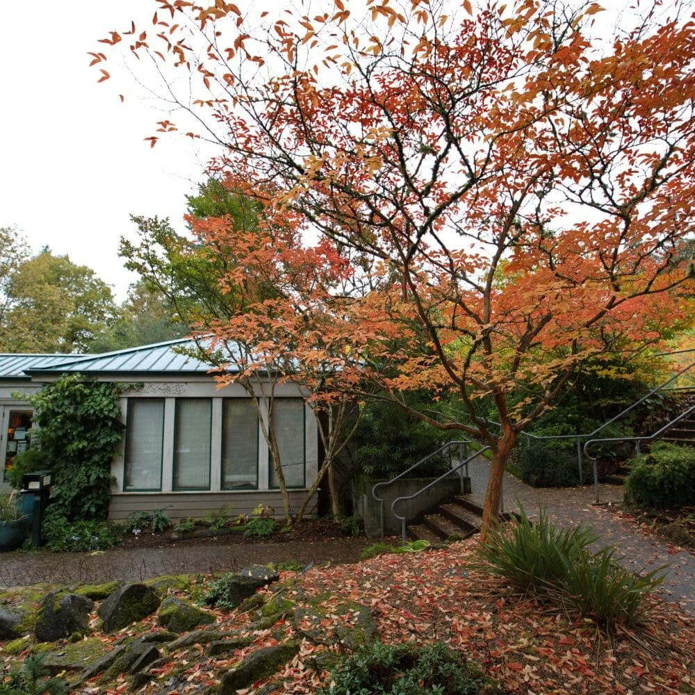  The Hoyt Arboretum Visitor Center building nestled among the trees. 