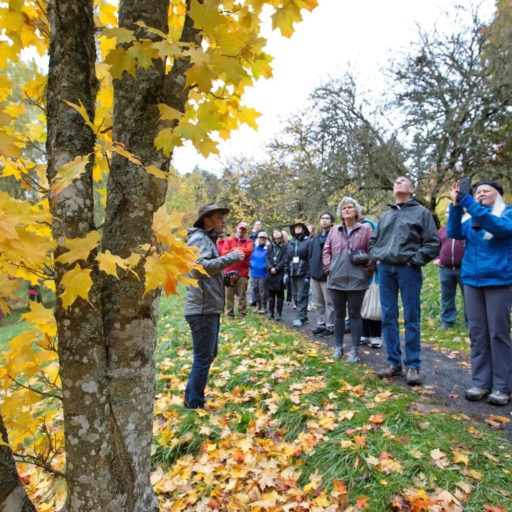Hoyt Arboretum in Fall and Winter: A Seasonal Sanctuary of Nature, Exploration, and Creativity