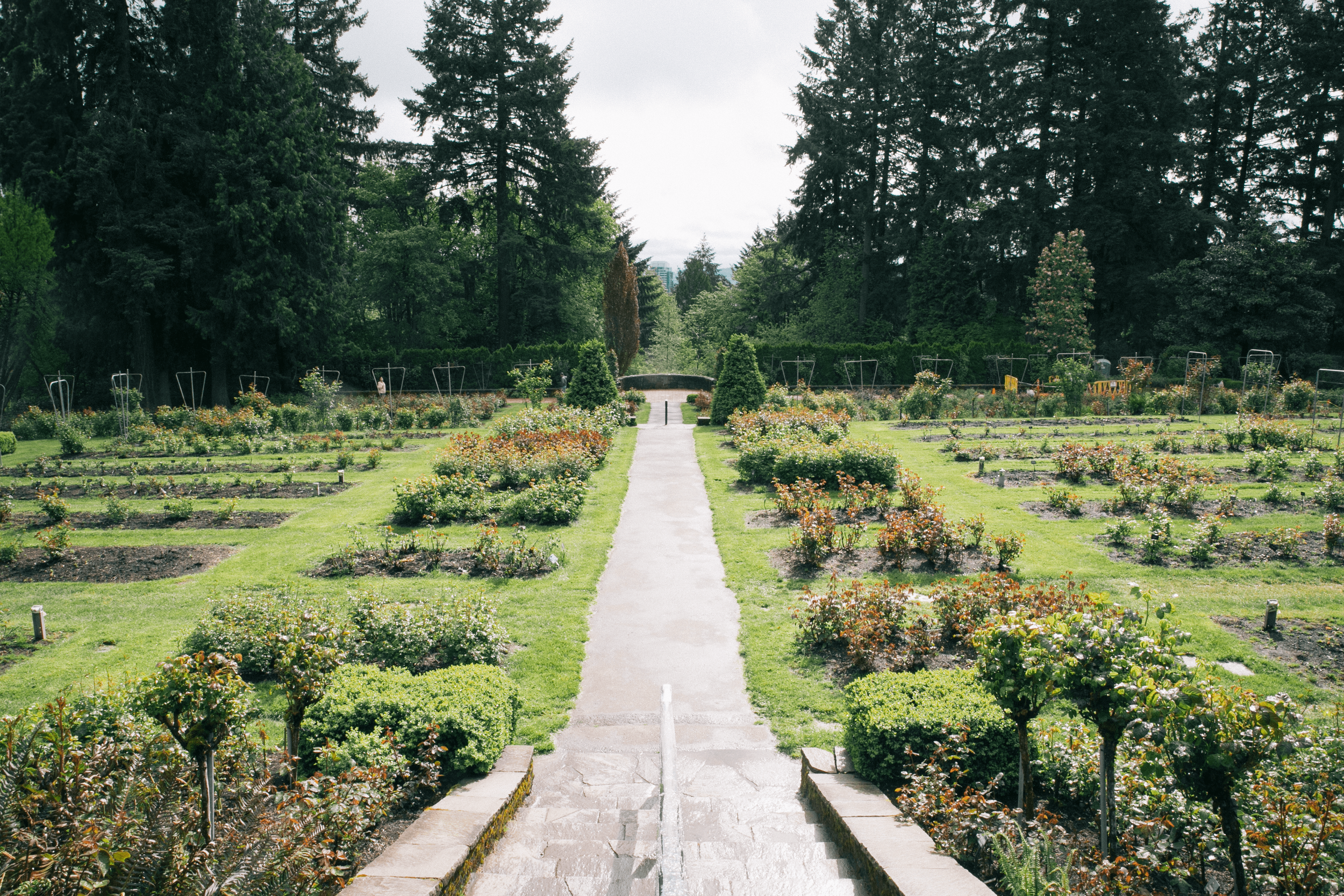 Washington Park's Top 5 Selfie Spots