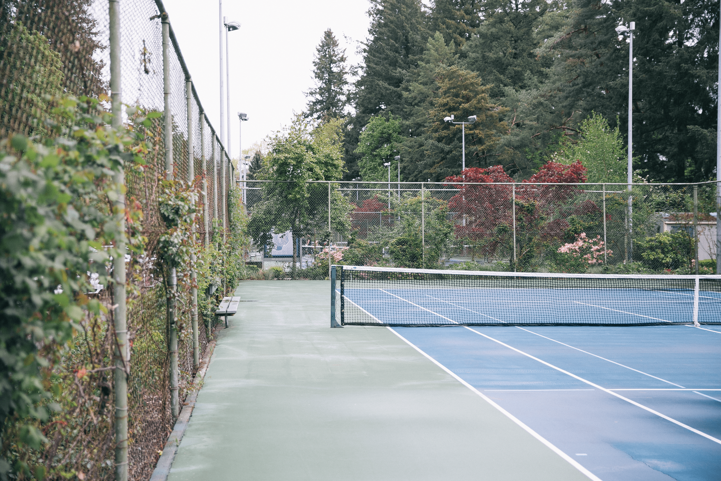  Washington Park’s tennis courts surrounded by greenery near the Rose Garden. 