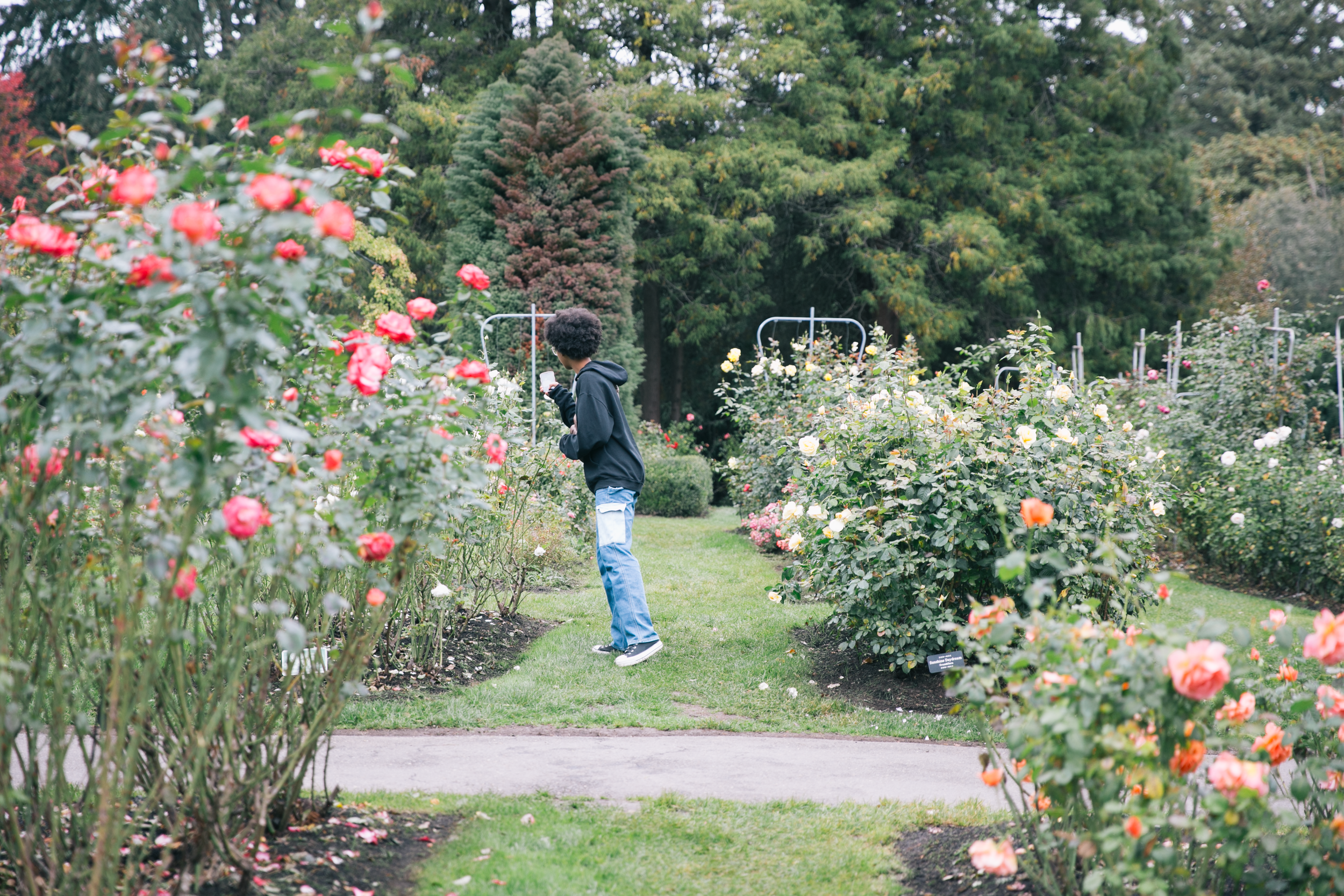 Garden Pairing Experience