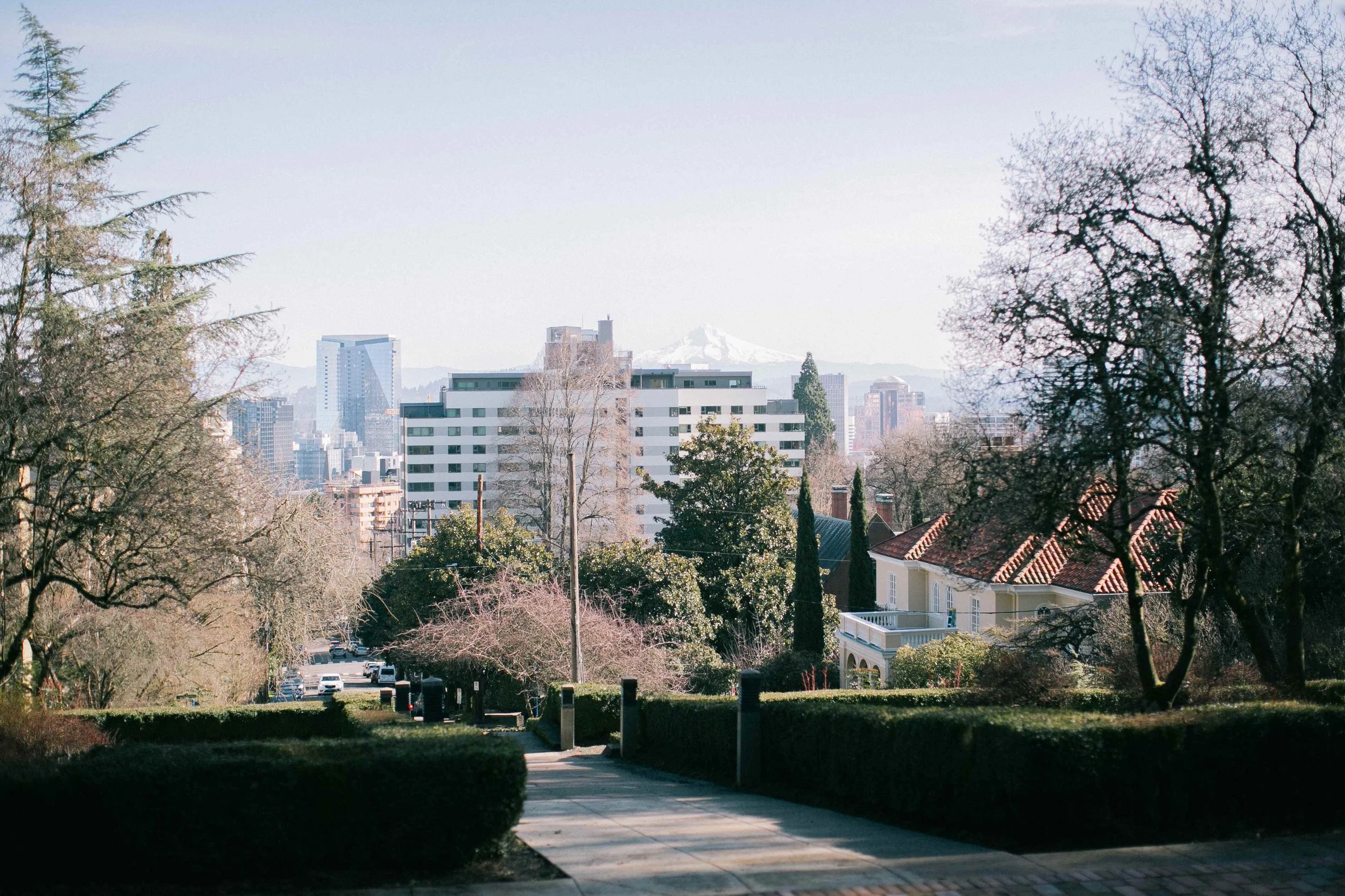 City to Forest Excursion