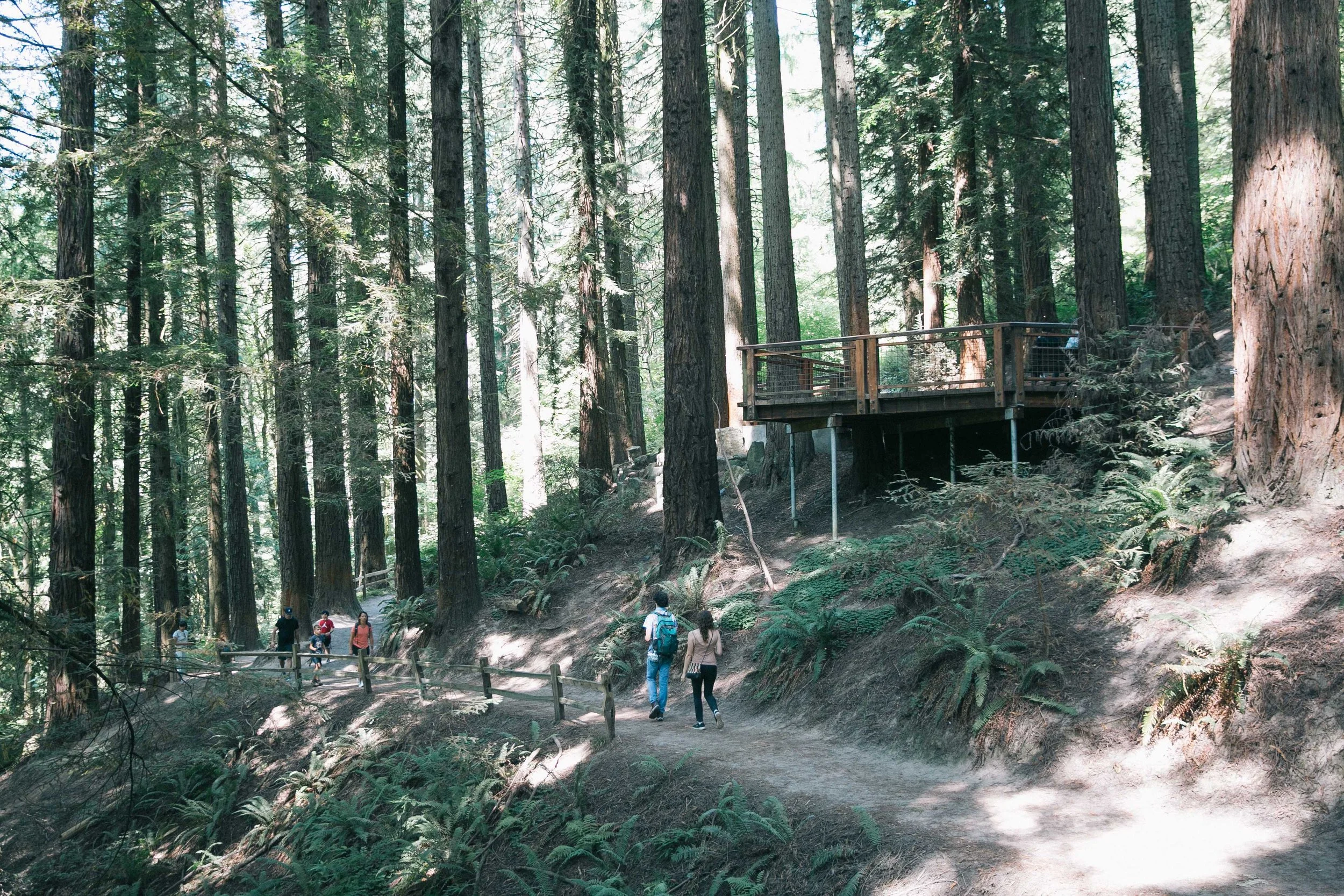 Iconic Hike to Pittock Mansion