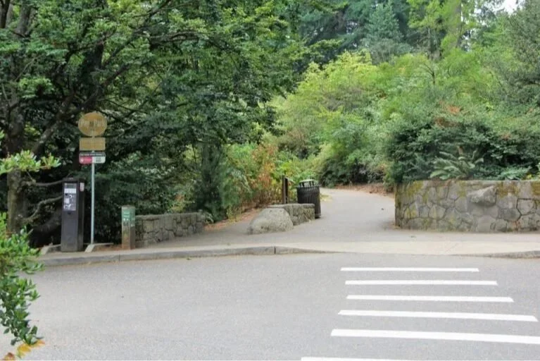 Overlook Trail