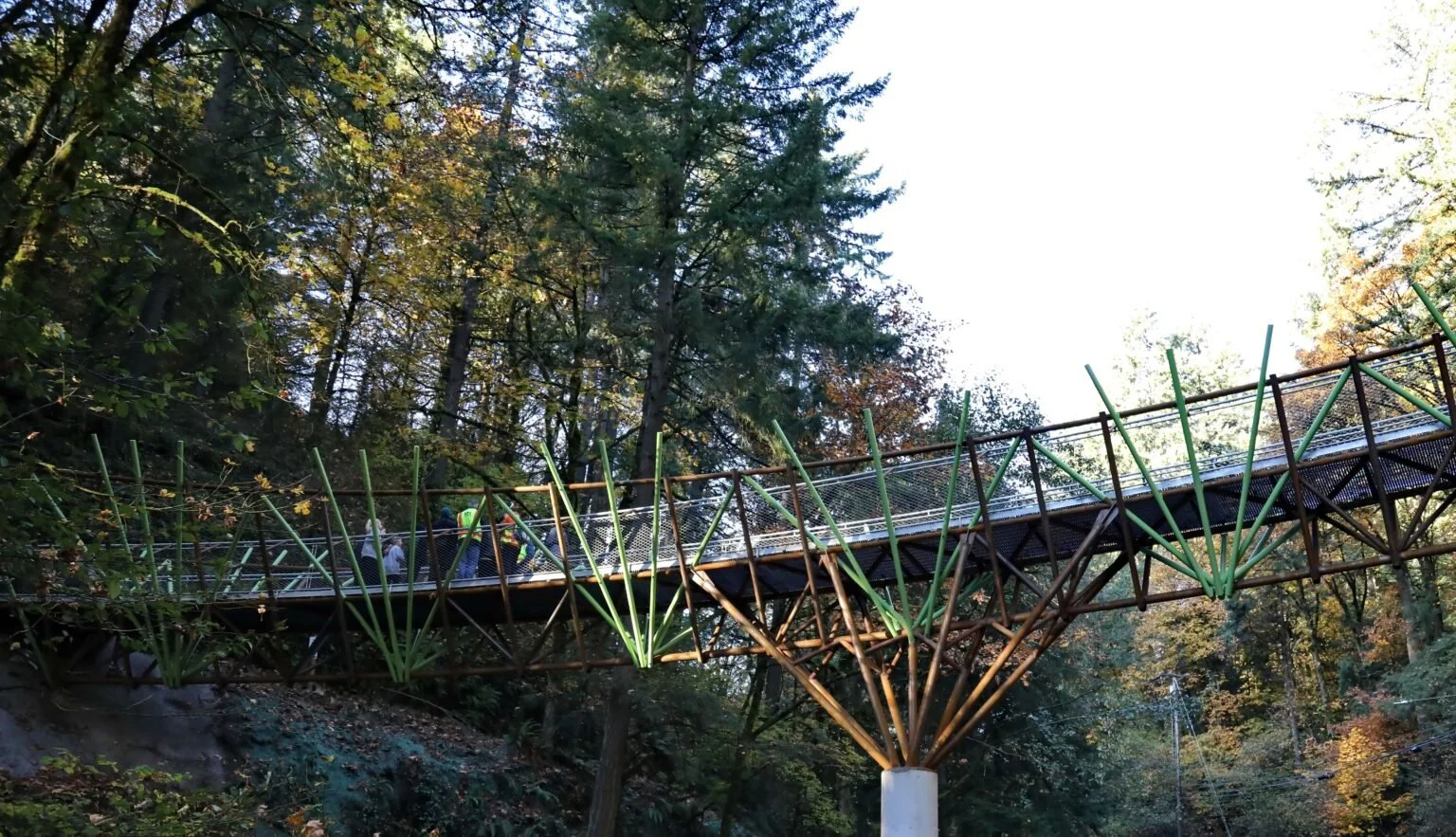Barbara Walker Crossing to Pittock Mansion