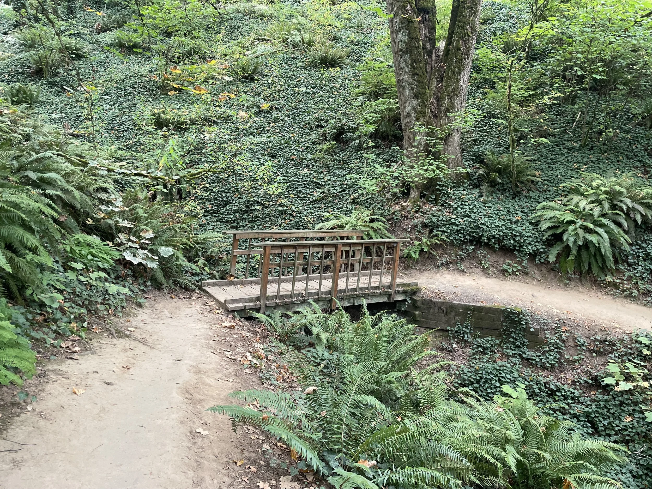 10 Washington Park Hikes for Every Age, Stage &amp; Ability
