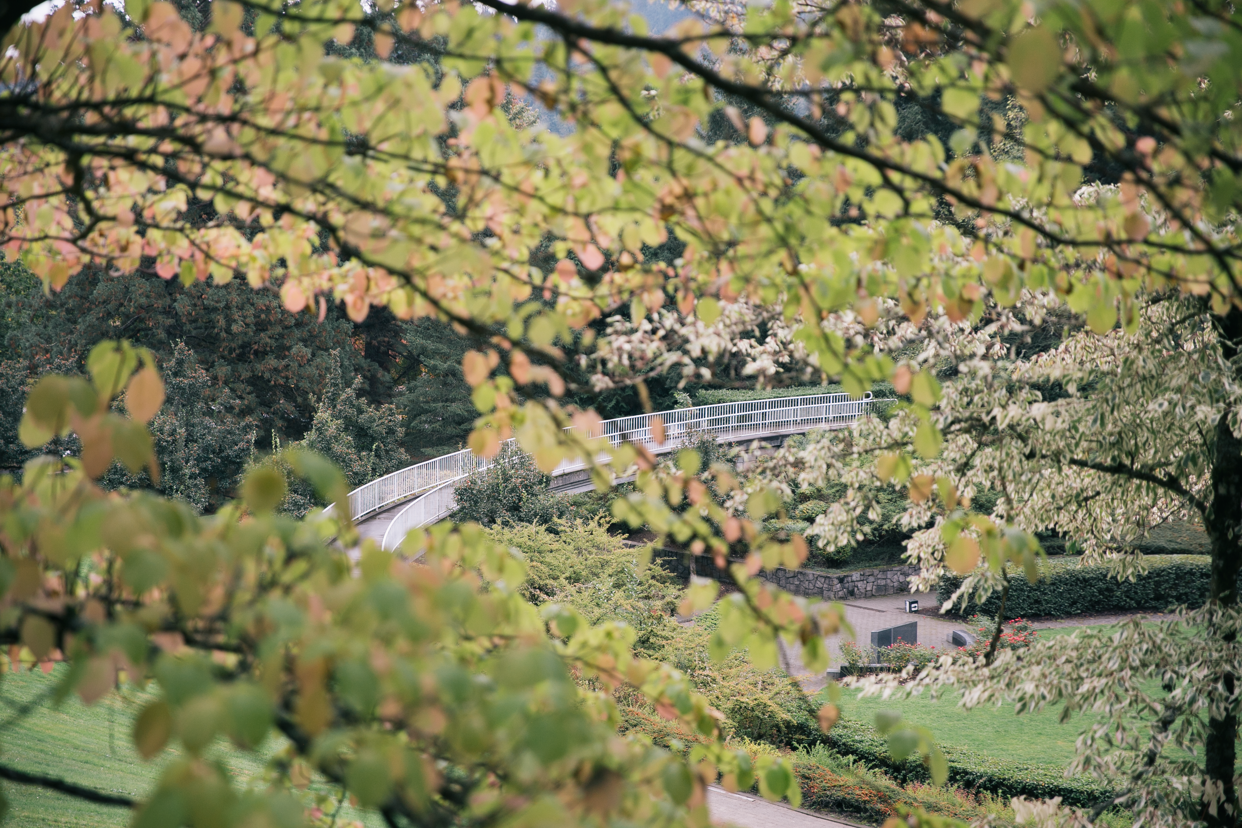 Vietnam Memorial_Fall_Bridge through Trees.png