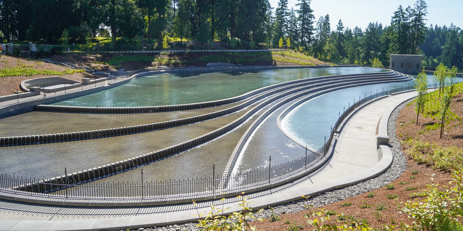 The Washington Park reflecting pools, surrounding walking paths, and and historic reservoir, with trees in the background.