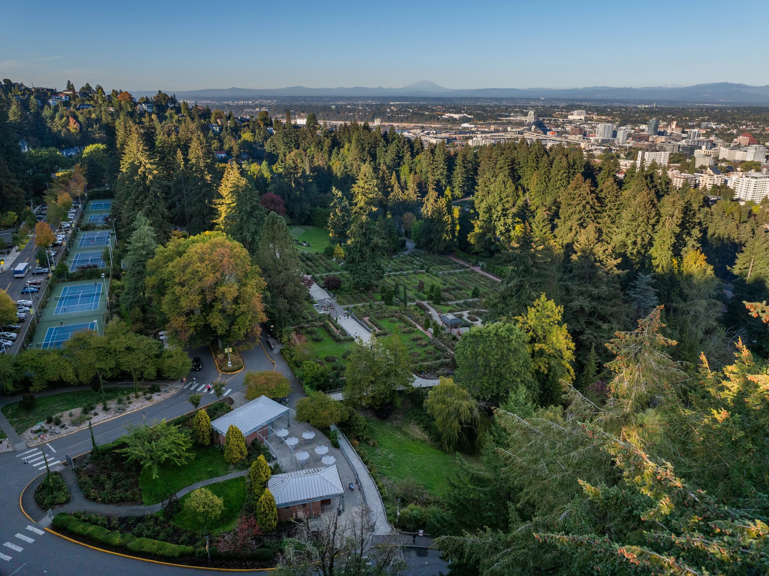 Aerial view of Washington Park’s forested hills with downtown Portland in the distance, next to common questions about driving and rideshare.