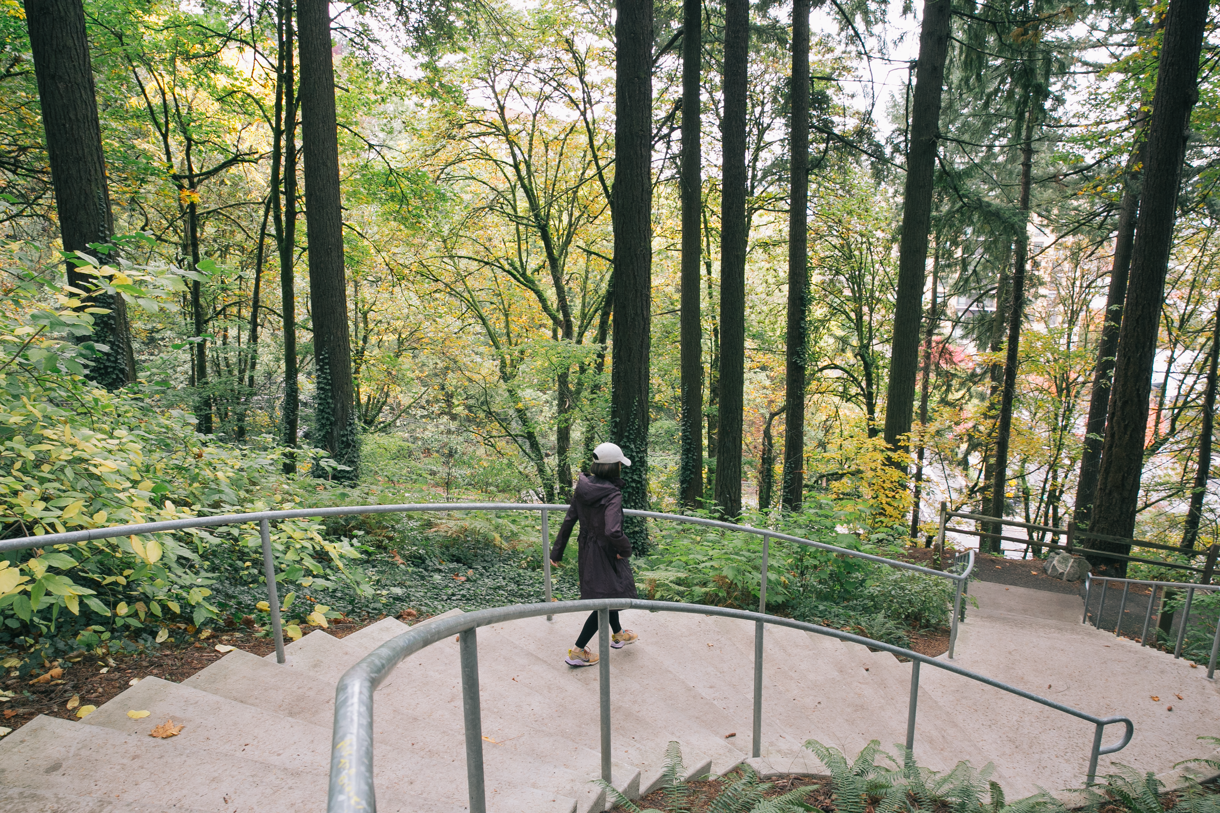 A visitor walking down a forest staircase into Washington Park surrounded by fall trees.