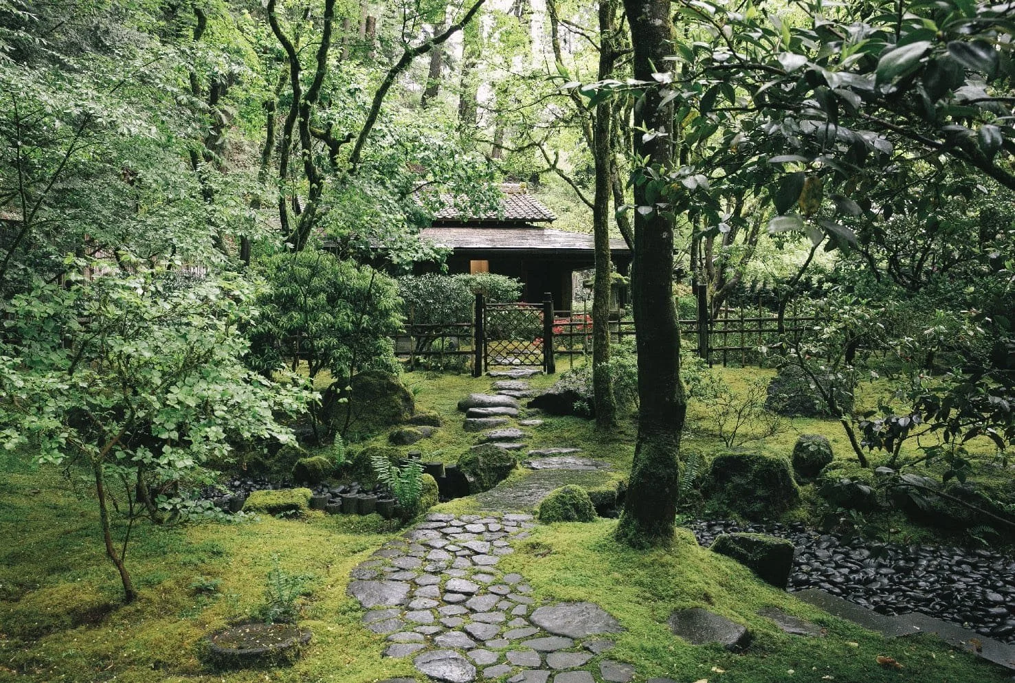 A lush, green stone path winding through the Portland Japanese Garden, with moss-covered rocks and a traditional pavilion visible through the trees