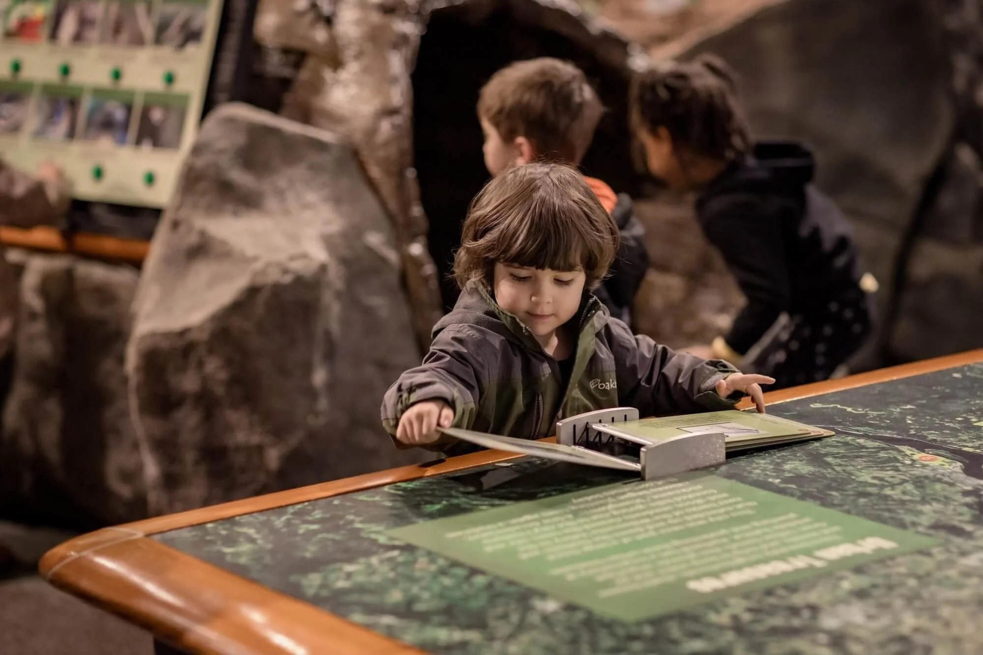 World Forestry Center: A Family Adventure in Portland