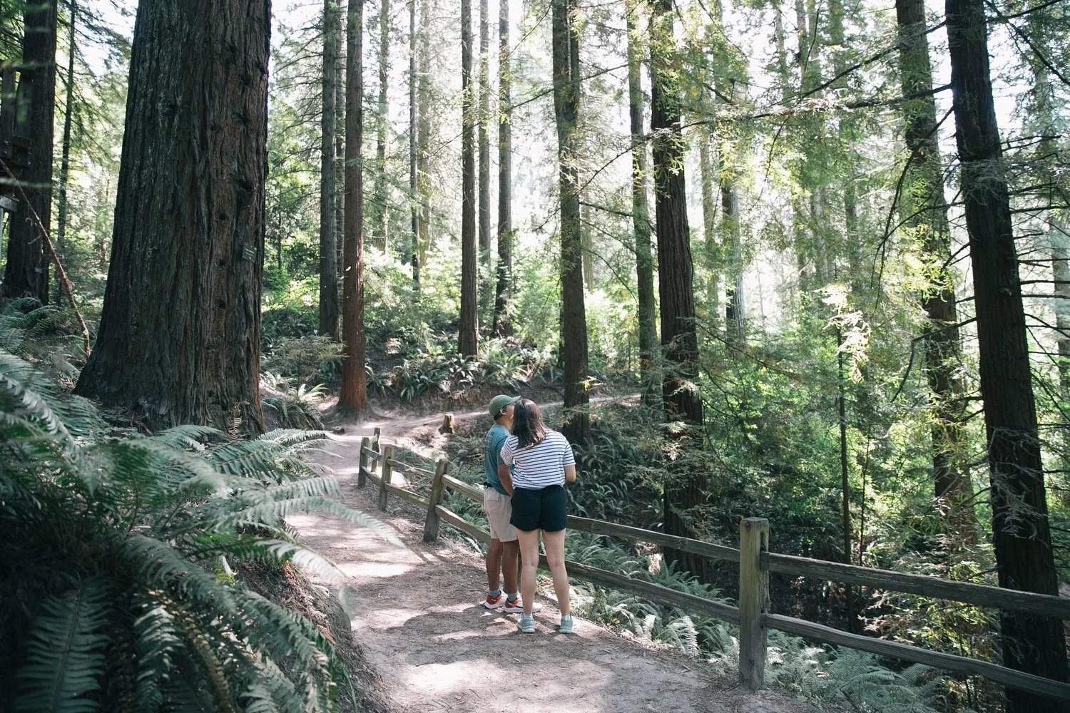 Visitors hiking down forested trails at the Hoyt Arboretum.
