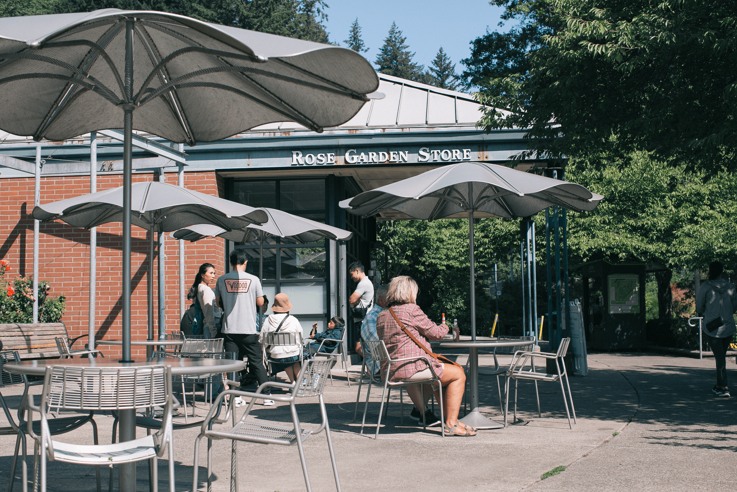A Rosy Gem in the Heart of Washington Park