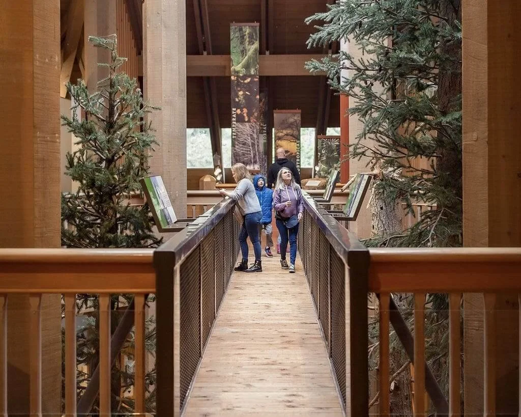 Visitors walk across a wooden bridge inside the World Forestry Center's main hall, flanked by large forest exhibits with towering fir trees