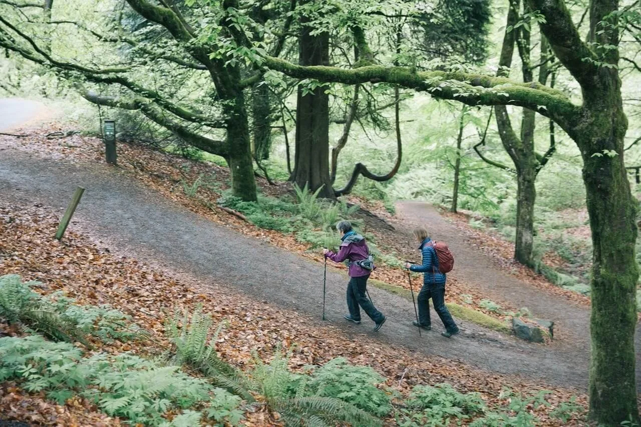 Two hikers with trekking poles walking on a forested trail at Hoyt Arboretum in Washington Park