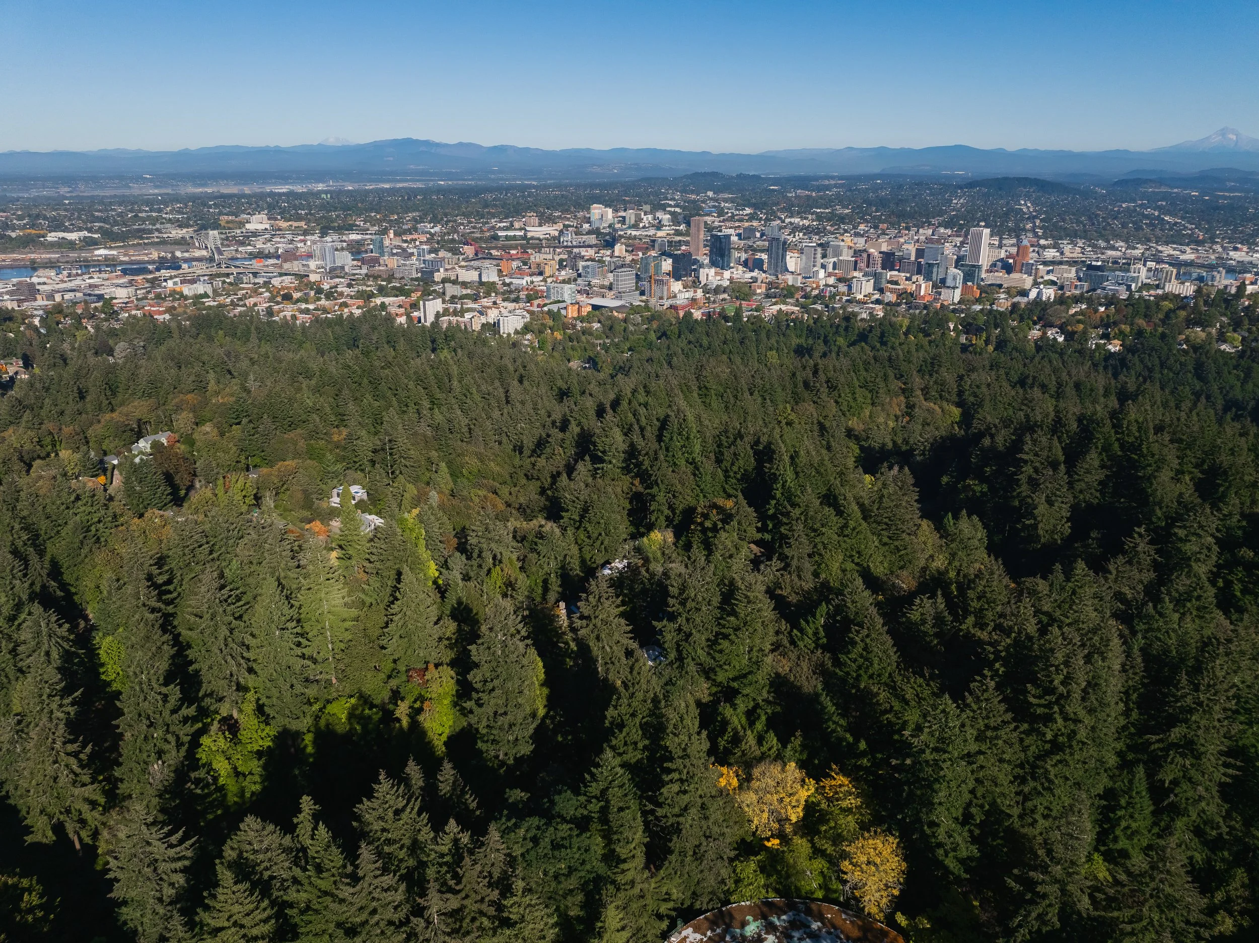 Aerial view of Portland, Oregon skyline with downtown skyscrapers, surrounded by trees and mountains in the background.