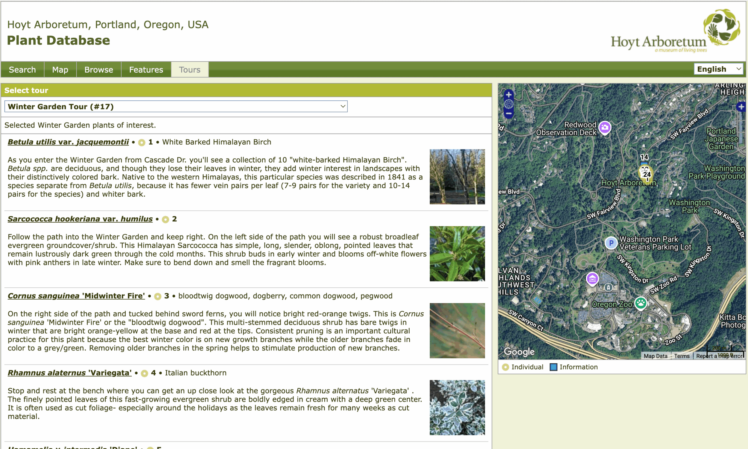 Screenshot of the Hoyt Arboretum Winter Garden Self-Guided Tour showing plant descriptions alongside a satellite map of the arboretum