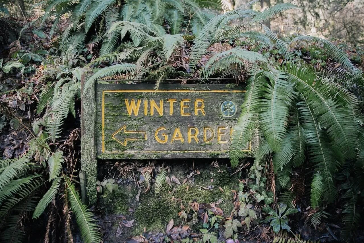 A moss-covered wooden sign pointing to the Winter Garden at Hoyt Arboretum, surrounded by ferns