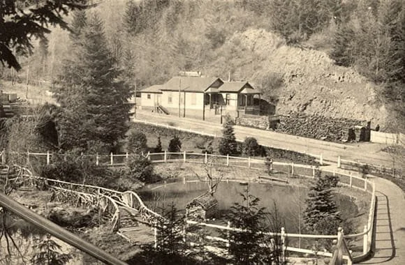 Historical black-and-white aerial view of Washington Park's SW Washington Street entrance, showing fenced paths, a pond, and park buildings on a forested hillside